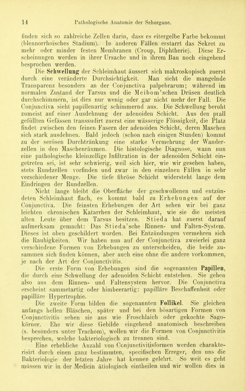 finden sich so zahlreiche Zellen darin, dass es eitergelbe Farbe bekommt (blennorrhoisches Stadium). In anderen Fällen erstarrt das Sekret zu mehr oder minder festen Membranen (Croup, Diphtherie). Diese Er- scheinungen werden in ihrer Ursache und in ihrem Bau noch eingehend besprochen werden. Die Schwellung der Schleimhaut äussert sich makroskopisch zuerst durch eine veränderte Durchsichtigkeit. Man sieht die mangelnde Transparenz besonders an der Conjunctiva palpebrarum; während im normalen Zustand der Tarsus und die Meibom'sehen Drüsen deutlich durchschimmern, ist dies nur wenig oder gar nicht mehr der Fall. Die Conjunctiva sieht papillenartig schimmernd aus. Die Schwellung beruht zumeist auf einer Ausdehnung der adenoiden Schicht. Aus den prall gefüllten Gefässen transsudirt zuerst eine wässerige Flüssigkeit, die Platz findet zwischen den feinen Fasern der adenoiden Schicht, deren Maschen sich stark ausdehnen. Bald jedoch (schon nach einigen Stunden) kommt zu der serösen Durchtränkung eine starke Vermehrung der Wander- zellen in den Maschenräumen. Die histologische Dia.gnose, wann nun eine pathologische kleinzellige Infiltration in der adenoiden Schicht ein- getreten sei, ist sehr schwierig, weil sich hier, wie wir gesehen haben, stets Rundzellen vorfinden und zwar in den einzelnen Fällen in sehr verschiedener Menge. Die tiefe fibröse Schicht widersteht lange dem Eindringen der Rundzellen. Nicht lange bleibt die Oberfläche der geschwollenen und entzün- deten Schleimhaut flach, es kommt bald zu Erhebungen auf der Conjunctiva. Die feinsten Erhebungen der Art sehen wir bei ganz leichten chronischen Katarrhen der Schleimhaut, wie sie die meisten alten Leute über dem Tarsus besitzen. Stieda hat zuerst darauf aufmerksam gemacht: Das Stieda'sche Rinnen- und Falten-System. Dieses ist oben geschildert worden. Bei Entzündungen vermehren sich die Rauhigkeiten. Wir haben nun auf der Conjunctiva zweierlei ganz verschiedene Formen von Erhebungen zu unterscheiden, die beide zu- sammen sich fänden können, aber auch eine ohne die andere vorkommen, je nach der Art der Conjunctivitis. Die erste Form von Erhebungen sind die sogenannten Papillen, die durch eine Schwellung der adenoiden Schicht entstehen. Sie gehen also aus dem Rinnen- und Faltensystem hervor. Die Conjunctiva erscheint sammetartig oder himbeerartig: papilläre Beschaffenheit oder papilläre Hypertrophie. Die zweite Form bilden die sogenannten Follikel. Sie gleichen anfangs hellen Bläschen, später und bei den bösartigen Formen von Conjunctivitis sehen sie aus wie Froschlaich oder gekochte Sago- körner. Ehe wir diese Gebilde eingehend anatomisch beschreiben (s. besonders unter Trachom), wollen wir die Formen von Conjunctivitis besprechen, welche bakteriologisch zu trennen sind. Eine erhebliche Anzahl von Conjunctivitis formen werden charakte- risirt durch einen ganz bestimmten, speeifischen Erreger, den uns die Bakteriologie der letzten Jahre hat kennen gelehrt. So weit es geht müssen wir in der Medicin ätiologisch eintheilen und wir wollen dies in