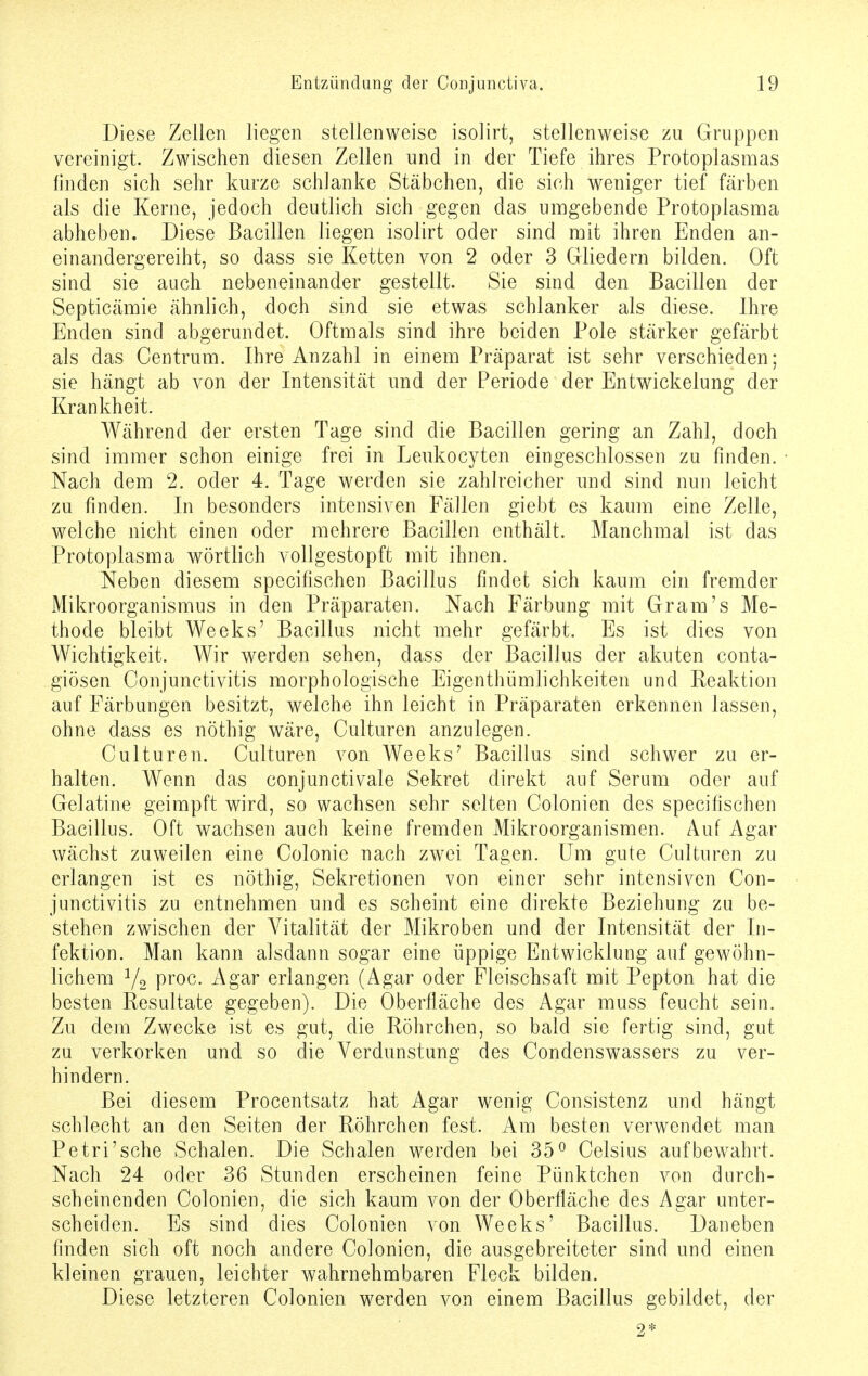 Diese Zellen liegen stellenweise isolirt, stellenweise zu Gruppen vereinigt. Zwischen diesen Zellen und in der Tiefe ihres Protoplasmas finden sich sehr kurze schlanke Stäbchen, die sich weniger tief färben als die Kerne, jedoch deutlich sich gegen das umgebende Protoplasma abheben. Diese Bacillen liegen isolirt oder sind mit ihren Enden an- einandergereiht, so dass sie Ketten von 2 oder 3 Gliedern bilden. Oft sind sie auch nebeneinander gestellt. Sie sind den Bacillen der Septicämie ähnlich, doch sind sie etwas schlanker als diese. Ihre Enden sind abgerundet. Oftmals sind ihre beiden Pole stärker gefärbt als das Centrum. Ihre Anzahl in einem Präparat ist sehr verschieden; sie hängt ab von der Intensität und der Periode der Entwickelung der Krankheit. Während der ersten Tage sind die Bacillen gering an Zahl, doch sind immer schon einige frei in Leukocyten eingeschlossen zu finden. Nach dem 2. oder 4. Tage werden sie zahlreicher und sind nun leicht zu finden. In besonders intensiven Fällen giebt es kaum eine Zelle, welche nicht einen oder mehrere Bacillen enthält. Manchmal ist das Protoplasma wörtlich vollgestopft mit ihnen. Neben diesem speeifischen Bacillus findet sich kaum ein fremder Mikroorganismus in den Präparaten. Nach Färbung mit Gram's Me- thode bleibt Weeks' Bacillus nicht mehr gefärbt. Es ist dies von Wichtigkeit. Wir werden sehen, dass der Bacillus der akuten conta- giösen Conjunctivitis morphologische Eigenthümlichkeiten und Reaktion auf Färbungen besitzt, welche ihn leicht in Präparaten erkennen lassen, ohne dass es nöthig wäre, Culturen anzulegen. Culturen. Culturen von Weeks' Bacillus sind schwer zu er- halten. Wenn das conjunctivale Sekret direkt auf Serum oder auf Gelatine geimpft wird, so wachsen sehr selten Colonien des speeifischen Bacillus. Oft wachsen auch keine fremden Mikroorganismen. Auf Agar wächst zuweilen eine Colonie nach zwei Tagen. Um gute Culturen zu erlangen ist es nöthig, Sekretionen von einer sehr intensiven Con- junctivitis zu entnehmen und es scheint eine direkte Beziehung zu be- stehen zwischen der Vitalität der Mikroben und der Intensität der In- fektion. Man kann alsdann sogar eine üppige Entwicklung auf gewöhn- lichem 1/2 proc. Agar erlangen (Agar oder Fleischsaft mit Pepton hat die besten Resultate gegeben). Die Oberfläche des Agar muss feucht sein. Zu dem Zwecke ist es gut, die Röhrchen, so bald sie fertig sind, gut zu verkorken und so die Verdunstung des Condenswassers zu ver- hindern. Bei diesem Procentsatz hat Agar wenig Consistenz und hängt schlecht an den Seiten der Röhrchen fest. Am besten verwendet man Pe tri'sehe Schalen. Die Schalen werden bei 35° Celsius aufbewahrt. Nach 24 oder 36 Stunden erscheinen feine Pünktchen von durch- scheinenden Colonien, die sich kaum von der Oberfläche des Agar unter- scheiden. Es sind dies Colonien von Weeks' Bacillus. Daneben finden sich oft noch andere Colonien, die ausgebreiteter sind und einen kleinen grauen, leichter wahrnehmbaren Fleck bilden. Diese letzteren Colonien werden von einem Bacillus gebildet, der 2*
