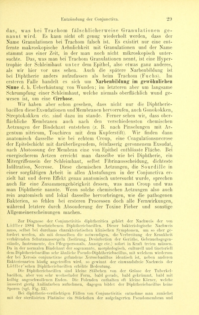 das, was bei Trachom fälschlicherweise Granulationen ge- nannt wird. Es kann nicht oft genug wiederholt werden, dass der Name Granulationen bei Trachom falsch ist. Es existirt nur eine ent- fernte makroskopische Aehnlichkeit mit Granulationen und der Name stammt aus einer Zeit, in der man noch nicht mikroskopisch unter- suchte. Das, was man bei Trachom Granulationen nennt, ist eine Hyper- trophie der Schleimhaut unter dem Epithel, also etwas ganz anderes, als wir hier vor uns sehen. Auch die spätere Narbenbildung ist bei Diphtherie anders aufzufassen als beim Trachom (Fuchs). Im ersteren Falle handelt es sich um Narbeiibildung im gewöhnlichen Sinne d. h. Ueberhäutung von Wunden; im letzteren aber um langsame Schrumpfung einer Schleimhaut, welche niemals oberflächlich wund ge- wesen ist, um eine Cirrhose. Wir haben aber schon gesehen, dass nicht nur die Diphtherie- bacillen diese Exsudationen und Membranen hervorrufen, auch Gonokokken, Streptokokken etc. sind dazu im stände. Ferner sehen wir, dass ober- flächliche Membranen auch nach den verschiedensten chemischen Aetzungen der Bindehaut entstehen (z. ß. nach Pinselungen mit Ar- gentum nitricum, Touchiren mit dem Kupferstift). Wir finden dann anatomisch dasselbe wie bei echtem Croup, eine Coagulationsnecrose der Epitelschicht mit darüberliegendem, feinfaserig geronnenem Exsudat, nach Abstossung der Membran eine von Epithel entblösste Fläche. Bei energischerem Aetzen erreicht man dasselbe wie bei Diphtherie, ein Mitergriffensein der Schleimhaut, selbst Fibrinausscheidung, dichteste Infiltration, Necrose. Diese chemischen Aetzungen, die Sourdille in einer sorgfältigen Arbeit in allen Abstufungen in der Conjunctiva er- zielt hat und deren Effekt genau anatomisch untersucht wurde, sprechen auch für eine Zusammengehörigkeit dessen, was man Croup und was man Diphtherie nannte. Wenn solche chemischen Aetzungen also auch rein anatomisch und lokal dasselbe hervorbringen, wie die pathogenen Bakterien, so fehlen bei ersteren Processen doch alle Fernwirkungen, während letztere durch Absonderung der Toxine Fieber und sonstige Allgemeinerscheinungen machen. Zur Diagnose der Conjunctivitis diphtheritica gehört der Nachweis der von Löffler 1884 beschriebenen Diphtheriebacillen. Dieser bakteriologische Nachweis muss, selbst bei durchaus charakteristischen klinischen Svmptomen, um so eher ge- fordert werden, als mit demselben die notwendigen, die Verbreitung der Krankheit verhütenden Schutzmassregeln (Isolirung, Desinfection der Geräthe, Gebrauchsgegen- stände, Instrumente, des Pflegepersonals, Anzeige etc.) sofort in Kraft treten müssen. Da in der normalen Bindehaut der sogenannte, morphologisch, culturell und tinctoriell dem Diphtheriebacillus sehr ähnliche Pseudo-Diphtheriebacillus, mit welchem wiederum der bei Xerosis conjunctivae gefundene Xerosebacillus identisch ist, neben anderen Bakterienarten häufig angetroffen wird, so gewinnt der einwandsfreie Nachweis der Löffler'schen Diphtheriebacillen erhöhte Bedeutung. Die Diphtheriebacillen sind kleine Stäbchen von der Grösse der Tuberkel- bacillen, aber von sehr wechselnder Form, bald gerade, bald gekrümmt, bald mit kolbig angeschwollenen Enden. Die Polenden enthalten oft kleine Körner, welche äusserst gierig Anilinfarben aufnehmen, dagegen bildet der Diphtheriebacillus keine Sporen (vgl. Fig. 13). ' Bei diphtherie-verdächtigen Fällen von Conjunctivitis entnehme man zunächst mit der sterilisirten Platinöse ein Stückchen der aufgelagerten Pseudomembran und
