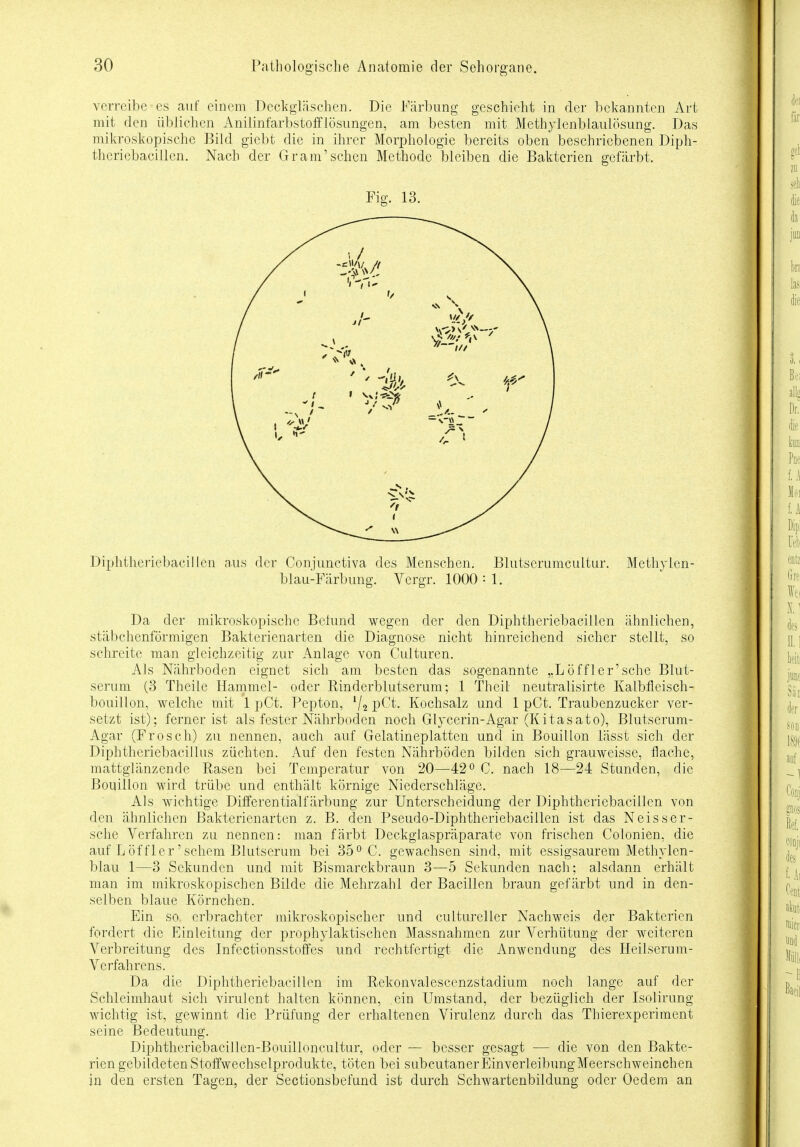 verreibe es auf einem Deckgläschen. Die Färbung geschieht in der bekannten Art mit den üblichen Aniiinfarbstofflösungen, am besten mit Methylenblaulösung. Das mikroskopische Bild giebt die in ihrer Morphologie bereits oben beschriebenen Diph- theriebacillen. Nach der Gram'sehen Methode bleiben die Bakterien gefärbt. Fig. 13. Diphtheriebacillen aus der Conjunctiva des Menschen. Blutserumcultur. Methylen- blau-Färbung. Vergr. 1000 = 1. Da der mikroskopische Befund wegen der den Diphtheriebacillen ähnlichen, stäbchenförmigen Bakterienarten die Diagnose nicht hinreichend sicher stellt, so schreite man gleichzeitig zur Anlage von Culturen. Als Nährboden eignet sich am besten das sogenannte „Löffler'sehe Blut- serum (3 Theile Hammel- oder Rinderblutserum; 1 Theil neutralisirte Kalbfleisch- bouillon, welche mit 1 pCt. Pepton, !/a pCt. Kochsalz und 1 pCt. Traubenzucker ver- setzt ist); ferner ist als fester Nährboden noch Glycerin-Agar (Kitasato), Blutserum- Agar (Frosch) zu nennen, auch auf Gelatineplatten und in Bouillon lässt sich der Diphtheriebacillus züchten. Auf den festen Nährböden bilden sich grauweisse, flache, mattglänzende Rasen bei Temperatur von 20—42° C. nach 18—24 Stunden, die Bouillon wird trübe und enthält körnige Niederschläge. Als wichtige Differentialfärbung zur Unterscheidung der Diphtheriebacillen von den ähnlichen Bakterienarten z. B. den Pseudo-Diphtheriebacillen ist das Neisser- sehe Verfahren zu nennen: man färbt Deckglaspräparate von frischen Colonien, die auf Löffler'schem Blutserum bei 35° C. gewachsen sind, mit essigsaurem Methylen- blau 1—3 Sekunden und mit Bismarckbraun 3—5 Sekunden nach; alsdann erhält man im mikroskopischen Bilde die Mehrzahl der Bacillen braun gefärbt und in den- selben blaue Körnchen. Ein so erbrachter mikroskopischer und cultureller Nachweis der Bakterien fordert die Einleitung der prophylaktischen Massnahmen zur Verhütung der weiteren Verbreitung des Infectionsstoffes und rechtfertigt die Anwendung des Heilserum- Verfahrens. Da die Diphtheriebacillen im Rekonvalescenzstadium noch lange auf der Schleimhaut sich virulent halten können, ein Umstand, der bezüglich der Isolirung wichtig ist, gewinnt die Prüfung der erhaltenen Virulenz durch das Thierexperiment seine Bedeutung. Diphtheriebacillen-Bouilloncultur, oder — besser gesagt — die von den Bakte- rien gebildeten Stoffwechselprodukte, töten bei subcutaner Einverleibung Meerschweinchen in den ersten Tagen, der Sectionsbefund ist durch Schwartenbildung oder Oedem an