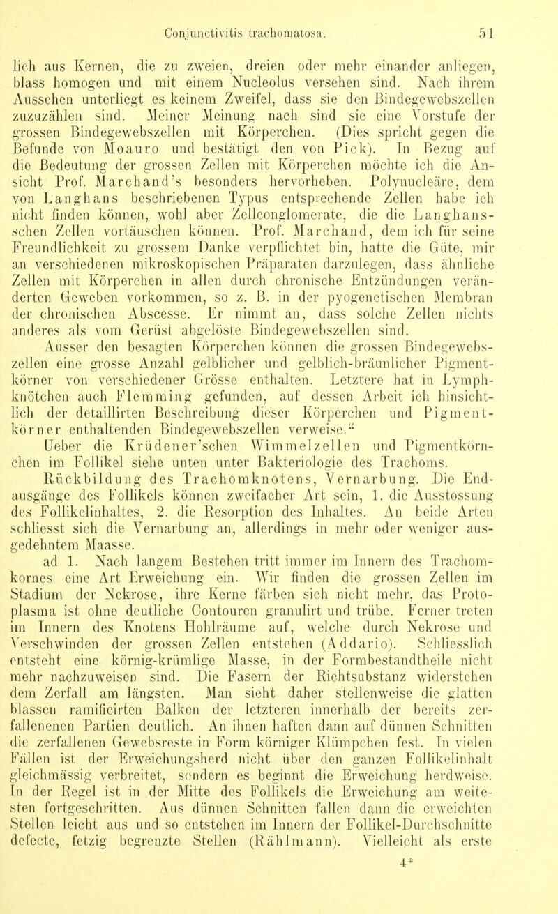 lieh aus Kernen, die zu zweien, dreien oder mehr einander anliegen, blass homogen und mit einem Nucleolus versehen sind. Nach ihrem Aussehen unterliegt es keinem Zweifel, dass sie den Bindegewebszellen zuzuzählen sind. Meiner Meinung nach sind sie eine Vorstufe der grossen Bindegewebszellen mit Körperchen. (Dies spricht gegen die Befunde von Moauro und bestätigt den von Pick). In Bezug auf die Bedeutung der grossen Zellen mit Körperchen möchte ich die An- sicht Prof. Marchand's besonders hervorheben. Polynucleäre, dem von Langhans beschriebenen Typus entsprechende Zellen habe ich nicht finden können, wohl aber Zellconglomerate, die die Langhans- schen Zellen vortäuschen können. Prof. Marchand, dem ich für seine Freundlichkeit zu grossem Danke verpflichtet bin, hatte die Güte, mir an verschiedenen mikroskopischen Präparaten darzulegen, dass ähnliche Zellen mit Körperchen in allen durch chronische Entzündungen verän- derten Geweben vorkommen, so z. B. in der pyogenetischen Membran der chronischen Abscesse. Er nimmt an, dass solche Zellen nichts anderes als vom Gerüst abgelöste Bindegewebszellen sind. Ausser den besagten Körperchen können die grossen Bindegewebs- zellen eine grosse Anzahl gelblicher und gelblich-bräunlicher Pigment- körner von verschiedener Grösse enthalten. Letztere hat in Lymph- knötchen auch Flemming gefunden, auf dessen Arbeit ich hinsicht- lich der detaillirten Beschreibung dieser Körperchen und Pigment- körner enthaltenden Bindegewebszellen verweise. Ueber die Krü den er 'sehen Wimmelz eilen und Pigmentkörn- chen im Follikel siehe unten unter Bakteriologie des Trachoms. Rückbildung des Trachomknotens, Vernarbung. Die End- ausgänge des Follikels können zweifacher Art sein, 1. die Ausstossung des Follikelinhaltes, 2. die Resorption des Inhaltes. An beide Arten schliesst sich die Vernarbung an, allerdings in mehr oder weniger aus- gedehntem Maasse. ad 1. Nach langem Bestehen tritt immer im Innern des Trachom- kornes eine Art Erweichung ein. Wir finden die grossen Zellen im Stadium der Nekrose, ihre Kerne färben sich nicht mehr, das Proto- plasma ist ohne deutliche Oontouren granulirt und trübe. Ferner treten im Innern des Knotens Hohlräume auf, welche durch Nekrose und Verschwinden der grossen Zellen entstehen (Addario). Schliesslich entsteht eine körnig-krümlige Masse, in der Formbestandtheile nicht mehr nachzuweisen sind. Die Fasern der Richtsubstanz widerstehen dem Zerfall am längsten. Man sieht daher stellenweise die glatten blassen ramificirten Balken der letzteren innerhalb der bereits zer- fallen enen Partien deutlich. An ihnen haften dann auf dünnen Schnitten die zerfallenen Gewebsreste in Form körniger Klümpchen fest. In vielen Fällen ist der Erweichungsherd nicht über den ganzen Follikelinhalt gleichmässig verbreitet, sondern es beginnt die Erweichung herdweise. In der Regel ist in der Mitte des Follikels die Erweichung am weite- sten fortgeschritten. Aus dünnen Schnitten fallen dann die erweichten Stellen leicht aus und so entstehen im Innern der Follikel-Durchschnitte defecte, fetzig begrenzte Stellen (Rählmann). Vielleicht als erste 4*