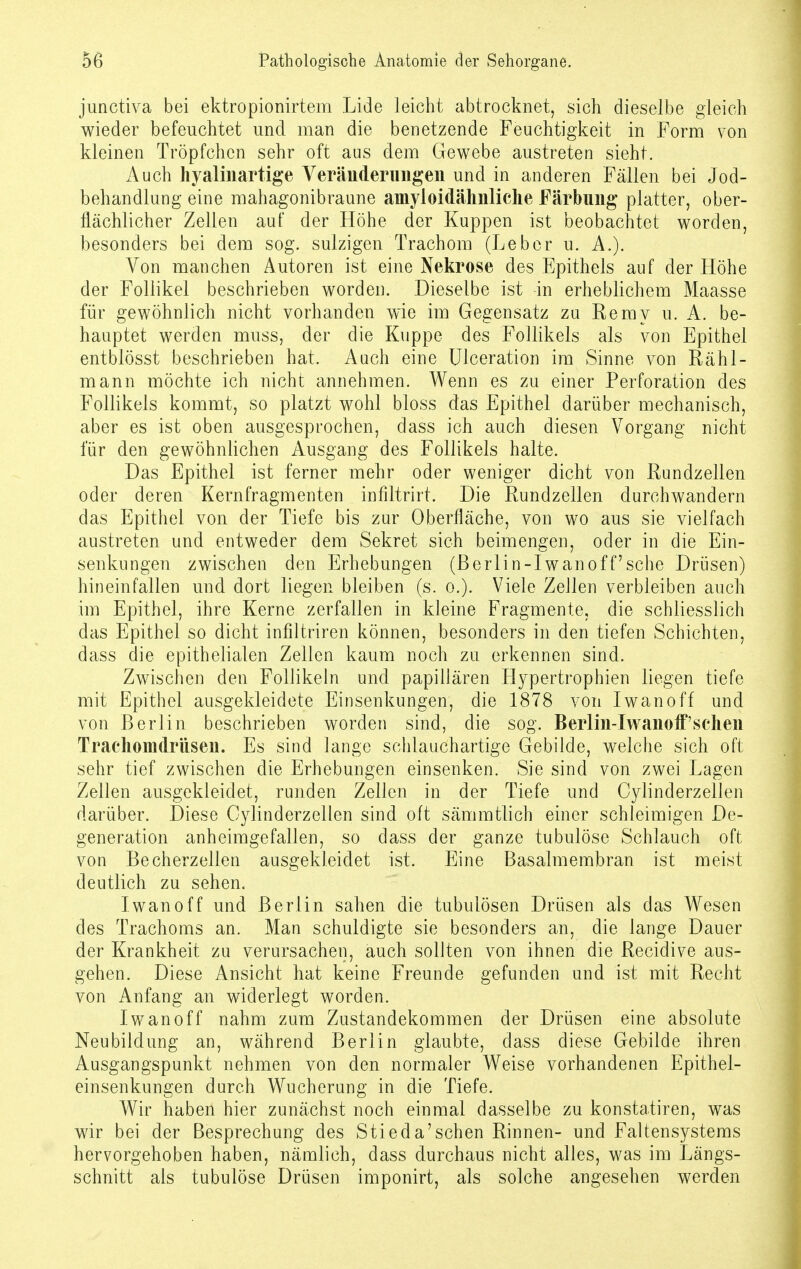 junctiva bei ektropionirtem Lide leicht abtrocknet, sich dieselbe gleich wieder befeuchtet und man die benetzende Feuchtigkeit in Form von kleinen Tröpfchen sehr oft aus dem Gewebe austreten sieht. Auch hyalinartige Veränderungen und in anderen Fällen bei Jod- behandlung eine mahagonibraune amyloidähnliche Färbung platter, ober- flächlicher Zellen auf der Höhe der Kuppen ist beobachtet worden, besonders bei dem sog. sulzigen Trachom (Leber u. A.). Von manchen Autoren ist eine Nekrose des Epithels auf der Höhe der Follikel beschrieben worden. Dieselbe ist in erheblichem Maasse für gewöhnlich nicht vorhanden wie im Gegensatz zu Remy u. A. be- hauptet werden muss, der die Kuppe des Follikels als von Epithel entblösst beschrieben hat. Auch eine Ulceration im Sinne von Rähl- mann möchte ich nicht annehmen. Wenn es zu einer Perforation des Follikels kommt, so platzt wohl bloss das Epithel darüber mechanisch, aber es ist oben ausgesprochen, dass ich auch diesen Vorgang nicht für den gewöhnlichen Ausgang des Follikels halte. Das Epithel ist ferner mehr oder weniger dicht von Rundzellen oder deren Kernfragmenten inhltrirt. Die Rundzellen durchwandern das Epithel von der Tiefe bis zur Oberfläche, von wo aus sie vielfach austreten und entweder dem Sekret sich beimengen, oder in die Ein- senkungen zwischen den Erhebungen (ßerlin-Iwanoff'sche Drüsen) hineinfallen und dort liegen bleiben (s. o.). Viele Zellen verbleiben auch im Epithel, ihre Kerne zerfallen in kleine Fragmente, die schliesslich das Epithel so dicht infiltriren können, besonders in den tiefen Schichten, dass die epithelialen Zellen kaum noch zu erkennen sind. Zwischen den Follikeln und papillären Hypertrophien liegen tiefe mit Epithel ausgekleidete Einsenkungen, die 1878 von Iwanoff und von Berlin beschrieben worden sind, die sog. Berlin-Iwanoff'sehen Trachomdrüsen. Es sind lange schlauchartige Gebilde, welche sich oft sehr tief zwischen die Erhebungen einsenken. Sie sind von zwei Lagen Zellen ausgekleidet, runden Zellen in der Tiefe und Cylinderzellen darüber. Diese Cylinderzellen sind oft sämmtlich einer schleimigen De- generation anheimgefallen, so dass der ganze tubulöse Schlauch oft von Becherzellen ausgekleidet ist. Eine Basalmembran ist meist deutlich zu sehen. Iwanoff und Berlin sahen die tubulösen Drüsen als das Wesen des Trachoms an. Man schuldigte sie besonders an, die lange Dauer der Krankheit zu verursachen, auch sollten von ihnen die Recidive aus- gehen. Diese Ansicht hat keine Freunde gefunden und ist mit Recht von Anfang an widerlegt worden. Iwan off nahm zum Zustandekommen der Drüsen eine absolute Neubildung an, während Berlin glaubte, dass diese Gebilde ihren Ausgangspunkt nehmen von den normaler Weise vorhandenen Epithel- einsenkungen durch Wucherung in die Tiefe. Wir haben hier zunächst noch einmal dasselbe zu konstatiren, was wir bei der Besprechung des Stieda'sehen Rinnen- und Faltensystems hervorgehoben haben, nämlich, dass durchaus nicht alles, was im Längs- schnitt als tubulöse Drüsen imponirt, als solche angesehen werden
