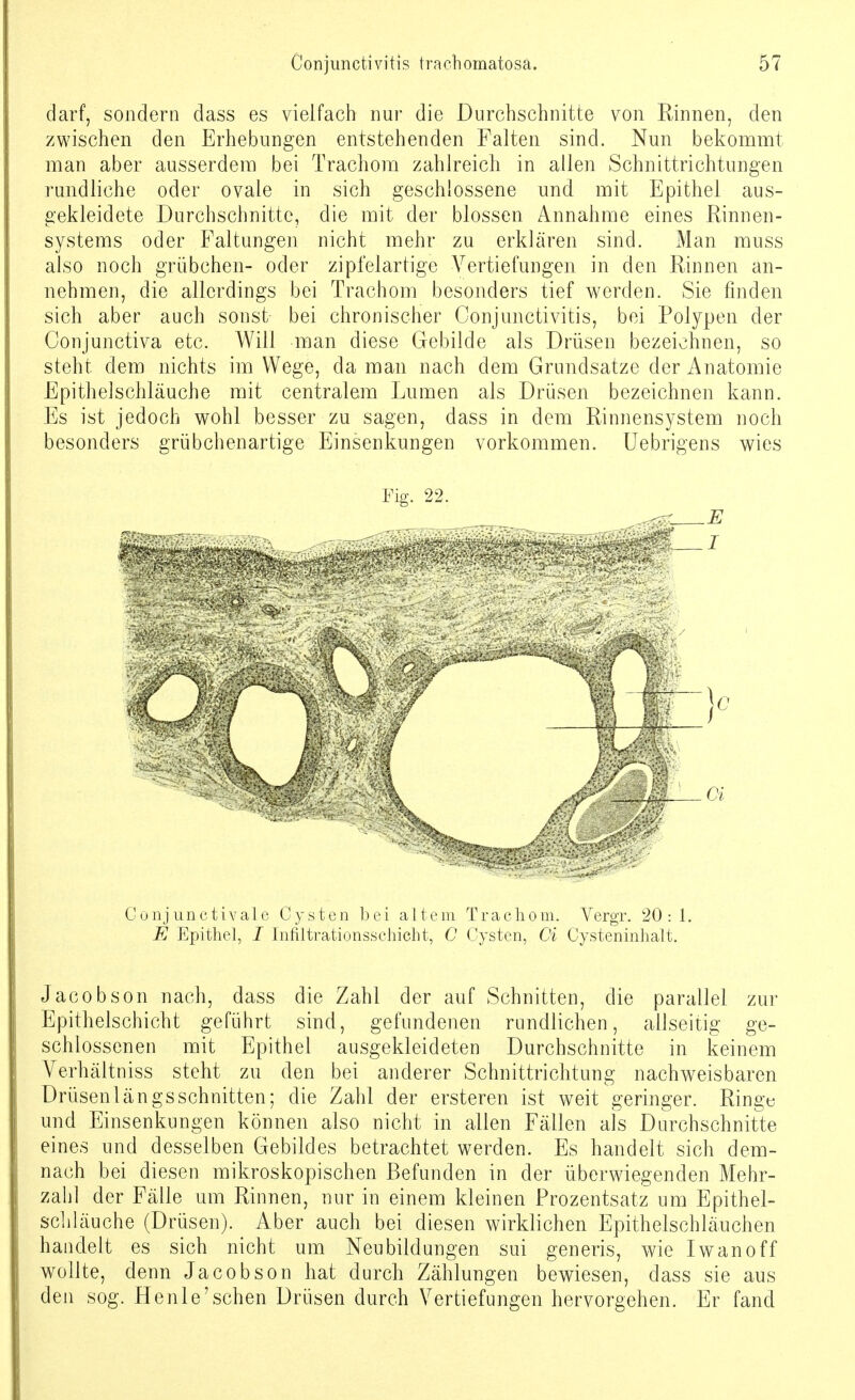 darf, sondern dass es vielfach nur die Durchschnitte von Rinnen, den zwischen den Erhebungen entstehenden Falten sind. Nun bekommt man aber ausserdem bei Trachom zahlreich in allen Schnittrichtungen rundliche oder ovale in sich geschlossene und mit Epithel aus- gekleidete Durchschnitte, die mit der blossen Annahme eines Rinnen- systems oder Faltungen nicht mehr zu erklären sind. Man muss also noch grübchen- oder zipfelartige Vertiefungen in den Rinnen an- nehmen, die allerdings bei Trachom besonders tief werden. Sie finden sich aber auch sonst bei chronischer Conjunctivitis, bei Polypen der Conjunctiva etc. Will man diese Gebilde als Drüsen bezeichnen, so steht dem nichts im Wege, da man nach dem Grundsatze der Anatomie Epithelschläuche mit centralem Lumen als Drüsen bezeichnen kann. Es ist jedoch wohl besser zu sagen, dass in dem Rinnensystem noch besonders grübchenartige Einsenkungen vorkommen. Uebrigens wies Fig. 22. ..<;.: E Conjunctivale Cysten bei altem Trachom. Vergr. 20: 1. E Epithel, I Infiltrationsschicht, C Cysten, Ci Cysteninhalt. Jacobson nach, dass die Zahl der auf Schnitten, die parallel zur Epithelschicht geführt sind, gefundenen rundlichen, allseitig ge- schlossenen mit Epithel ausgekleideten Durchschnitte in keinem Verhältniss steht zu den bei anderer Schnittrichtimg nachweisbaren ürüsenlängsschnitten; die Zahl der ersteren ist weit geringer. Ringe und Einsenkungen können also nicht in allen Fällen als Durchschnitte eines und desselben Gebildes betrachtet werden. Es handelt sich dem- nach bei diesen mikroskopischen Befunden in der überwiegenden Mehr- zahl der Fälle um Rinnen, nur in einem kleinen Prozentsatz um Epithel- schläuche (Drüsen). Aber auch bei diesen wirklichen Epithelschläuchen handelt es sich nicht um Neubildungen sui generis, wie Iwan off wollte, denn Jacobson hat durch Zählungen bewiesen, dass sie aus den sog. Henle'sehen Drüsen durch Vertiefungen hervorgehen. Er fand