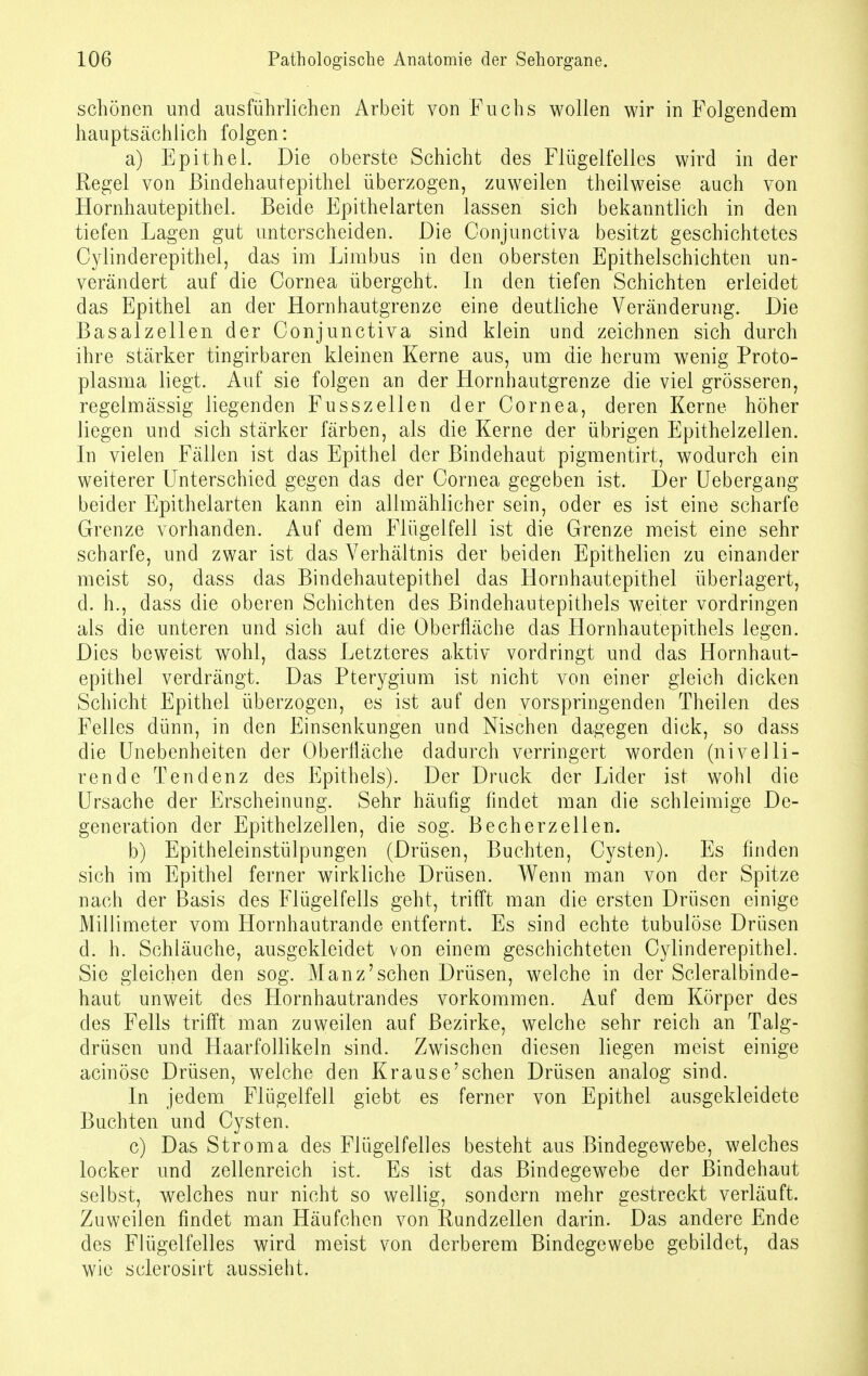 schönen und ausführlichen Arbeit von Fuchs wollen wir in Folgendem hauptsächlich folgen: a) Epithel. Die oberste Schicht des Flügelfelles wird in der Regel von Bindehautepithel überzogen, zuweilen theilweise auch von Hornhautepithel. Beide Epithelarten lassen sich bekanntlich in den tiefen Lagen gut unterscheiden. Die Conjunctiva besitzt geschichtetes Cylinderepithel, das im Limbus in den obersten Epithelschichten un- verändert auf die Cornea übergeht. In den tiefen Schichten erleidet das Epithel an der Hornhautgrenze eine deutliche Veränderung. Die Basalzellen der Conjunctiva sind klein und zeichnen sich durch ihre stärker tingirbaren kleinen Kerne aus, um die herum wenig Proto- plasma liegt. Auf sie folgen an der Hornhautgrenze die viel grösseren, regelmässig liegenden Fusszeilen der Cornea, deren Kerne höher liegen und sich stärker färben, als die Kerne der übrigen Epithelzellen. In vielen Fällen ist das Epithel der Bindehaut pigmentirt, wodurch ein weiterer Unterschied gegen das der Cornea gegeben ist. Der Uebergang beider Epithelarten kann ein allmählicher sein, oder es ist eine scharfe Grenze vorhanden. Auf dem Flügelfell ist die Grenze meist eine sehr scharfe, und zwar ist das Verhältnis der beiden Epithelien zu einander meist so, dass das Bindehautepithel das Hornhautepithel überlagert, d. h., dass die oberen Schichten des Bindehautepithels weiter vordringen als die unteren und sich auf die Oberfläche das Hornhautepithels legen. Dies beweist wohl, dass Letzteres aktiv vordringt und das Hornhaut- epithel verdrängt. Das Pterygium ist nicht von einer gleich dicken Schicht Epithel überzogen, es ist auf den vorspringenden Theilen des Felles dünn, in den Einsenkungen und Nischen dagegen dick, so dass die Unebenheiten der Oberfläche dadurch verringert worden (nivelli- rende Tendenz des Epithels). Der Druck der Lider ist wohl die Ursache der Erscheinung. Sehr häufig findet man die schleimige De- generation der Epithelzellen, die sog. Becherzellen. b) Epitheleinstülpungen (Drüsen, Buchten, Cysten). Es finden sich im Epithel ferner wirkliche Drüsen. Wenn man von der Spitze nach der Basis des Flügelfells geht, trifft man die ersten Drüsen einige Millimeter vom Hornhautrande entfernt. Es sind echte tubulöse Drüsen d. h. Schläuche, ausgekleidet von einem geschichteten Cylinderepithel. Sie gleichen den sog. Manz'sehen Drüsen, welche in der Scleralbinde- haut unweit des Hornhautrandes vorkommen. Auf dem Körper des des Fells trifft man zuweilen auf Bezirke, welche sehr reich an Talg- drüsen und Haarfollikeln sind. Zwischen diesen liegen meist einige acinöse Drüsen, welche den Krause'schen Drüsen analog sind. In jedem Flügelfell giebt es ferner von Epithel ausgekleidete Buchten und Cysten. c) Das Strom a des Flügelfelles besteht aus Bindegewebe, welches locker und zellenreich ist. Es ist das Bindegewebe der Bindehaut selbst, welches nur nicht so wellig, sondern mehr gestreckt verläuft. Zuweilen findet man Häufchen von Rundzellen darin. Das andere Ende des Flügelfelles wird meist von derberem Bindegewebe gebildet, das wie sclerosirt aussieht.