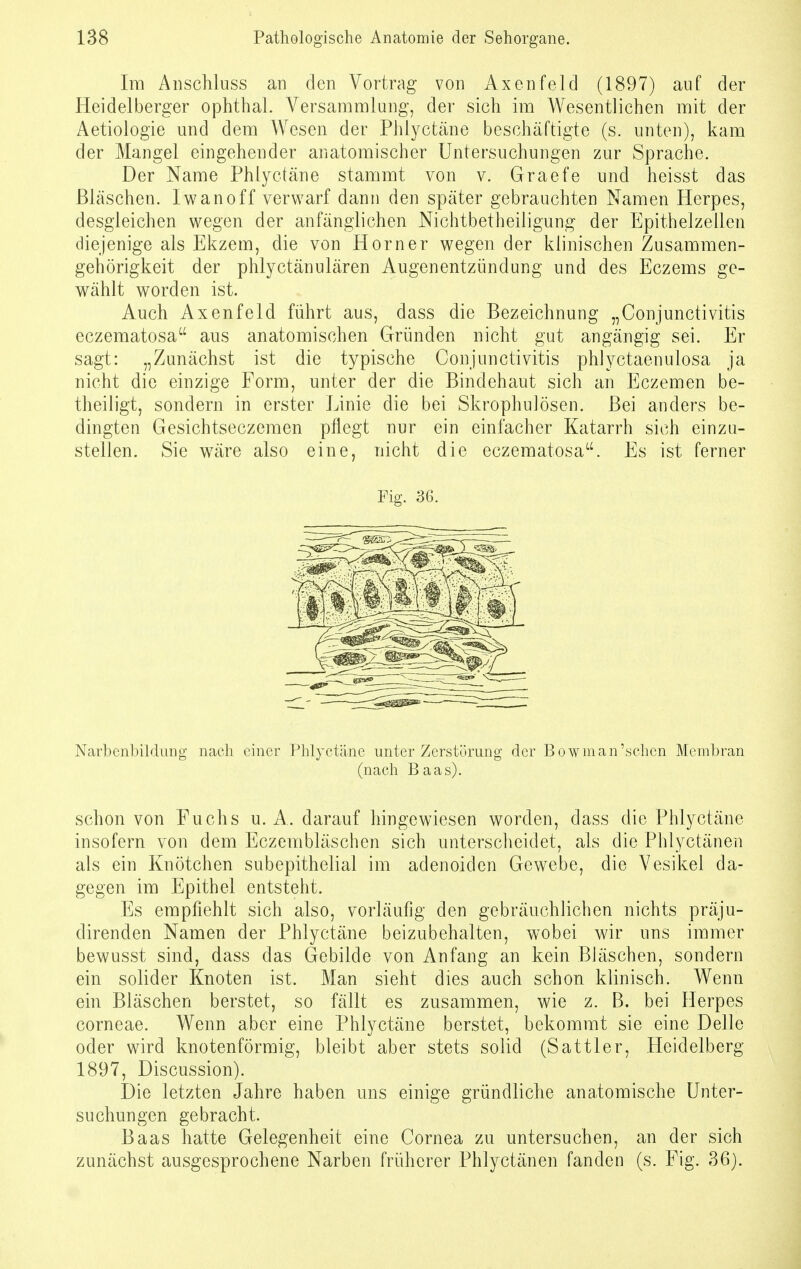 Im Anschluss an den Vortrag von Axenfeld (1897) auf der Heidelberger Ophthal. Versammlung, der sich im Wesentlichen mit der Aetiologie und dem Wesen der Phlyctäne beschäftigte (s. unten), kam der Mangel eingehender anatomischer Untersuchungen zur Sprache. Der Name Phlyctäne stammt von v. Graefe und heisst das Bläschen. Iwanoff verwarf dann den später gebrauchten Namen Herpes, desgleichen wegen der anfänglichen Nichtbetheiligung der Epithelzellen diejenige als Ekzem, die von Horner wegen der klinischen Zusammen- gehörigkeit der phlyctänulären Augenentzündung und des Eczems ge- wählt worden ist. Auch Axenfeld führt aus, dass die Bezeichnung „Conjunctivitis eczematosa aus anatomischen Gründen nicht gut angängig sei. Er sagt: „Zunächst ist die typische Conjunctivitis phlyctaenulosa ja nicht die einzige Form, unter der die Bindehaut sich an Eczemen be- theiligt, sondern in erster Linie die bei Skrophulösen. Bei anders be- dingten Gesichtseczemen pflegt nur ein einfacher Katarrh sich einzu- stellen. Sie wräre also eine, nicht die eczematosa. Es ist ferner Fig. 36. Narbenbildung nach einer Phlyctäne unter Zerstörung der Bowman',sehen Membran (nach Baas). schon von Fuchs u. A. darauf hingewiesen worden, dass die Phlyctäne insofern von dem Eczembläschen sich unterscheidet, als die Phlyctänen als ein Knötchen subepithelial im adenoiden Gewebe, die Vesikel da- gegen im Epithel entsteht. Es empfiehlt sich also, vorläufig den gebräuchlichen nichts präju- direnden Namen der Phlyctäne beizubehalten, wobei wir uns immer bewusst sind, dass das Gebilde von Anfang an kein Bläschen, sondern ein solider Knoten ist. Man sieht dies auch schon klinisch. Wenn ein Bläschen berstet, so fällt es zusammen, wie z. B. bei Herpes corneae. Wenn aber eine Phlyctäne berstet, bekommt sie eine Delle oder wird knotenförmig, bleibt aber stets solid (Sattler, Heidelberg 1897, Discussion). Die letzten Jahre haben uns einige gründliche anatomische Unter- suchungen gebracht. Baas hatte Gelegenheit eine Cornea zu untersuchen, an der sich zunächst ausgesprochene Narben früherer Phlyctänen fanden (s. Fig. 36).