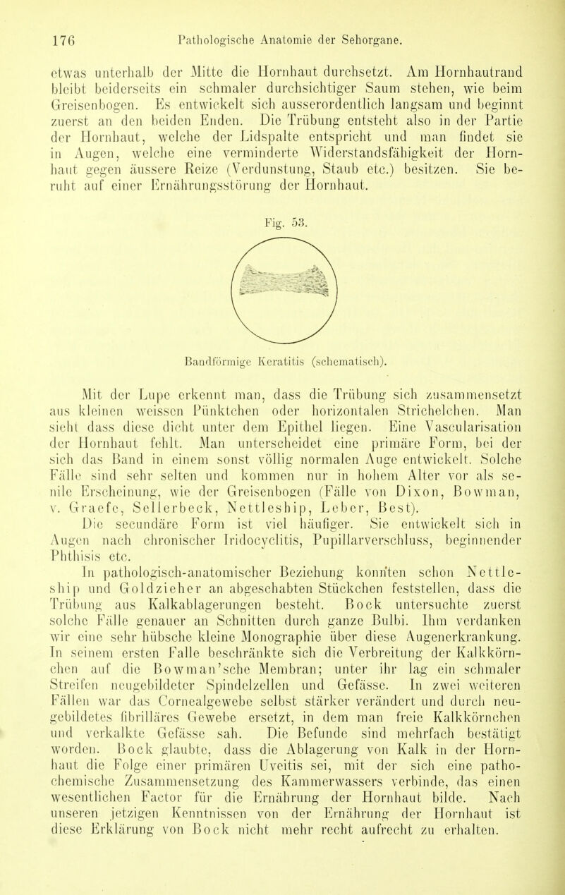 etwas unterhalb der Mitte die Hornhaut durchsetzt. Am Hornhautrand bleibt beiderseits ein schmaler durchsichtiger Saum stehen, wie beim Greisen bogen. Es entwickelt sich ausserordentlich langsam und beginnt zuerst an den beiden Enden. Die Trübung entsteht also in der Partie der Hornhaut, welche der Lidspalte entspricht und man findet sie in Augen, welche eine verminderte Widerstandsfähigkeit der Horn- haut gegen äussere Reize (Verdunstung, Staub etc.) besitzen. Sie be- ruht auf einer Ernährungsstörung der Hornhaut. Fig. 53. Bandförmige Keratitis (schematisch). Mit der Lupe erkennt man, dass die Trübung sich zusammensetzt aus kleinen weissen Pünktchen oder horizontalen Strichelchen. Man sieht dass diese dicht unter dem Epithel liegen. Eine Vascularisation der Hornhaut fehlt. Man unterscheidet eine primäre Form, bei der sich das Band in einem sonst völlig normalen Auge entwickelt. Solche Fälle sind sehr selten und kommen nur in hohem Alter vor als se- nile Erscheinung, wie der Greisenbogen (Fälle von Dixon, ßowman, v. Graefc, Sellerbeck, Nettlesbip, Leber, Best). Die secundäre Form ist viel häufiger. Sie entwickelt sich in Augen nach chronischer Iridocyclitis, Pnpillarverscbluss, beginnender Phthisis etc. In pathologisch-anatomischer Beziehung konnten schon Nettle- ship und Goldzieher an abgeschabten Stückchen feststellen, dass die Trübung aus Kalkablagerungen besteht. Bock untersuchte zuerst solche Fälle genauer an Schnitten durch ganze Bulbi. Ihm verdanken wir eine sehr hübsche kleine Monographie über diese Augenerkrankung. In seinem ersten Falle beschränkte sich die Verbreitung der Kalkkörn- chen auf die Bowman'sche Membran; unter ihr lag ein schmaler Streifen neugebildeter Spindelzellen und Gefässe. In zwei weiteren Fällen war das Corneaige webe selbst stärker verändert und durch neu- gebildetes fibrilläres Gewebe ersetzt, in dem man freie Kalkkörnchen und verkalkte Gefässe sah. Die Befunde sind mehrfach bestätigt worden. Bock glaubte, dass die Ablagerung von Kalk in der Horn- haut die Folge einer primären Uveitis sei, mit der sich eine patho- chemische Zusammensetzung des Kammerwassers verbinde, das einen wesentlichen Factor für die Ernährung der Hornhaut bilde. Nach unseren jetzigen Kenntnissen von der Ernährung der Hornhaut ist diese Erklärung von Bock nicht mehr recht aufrecht zu erhalten.