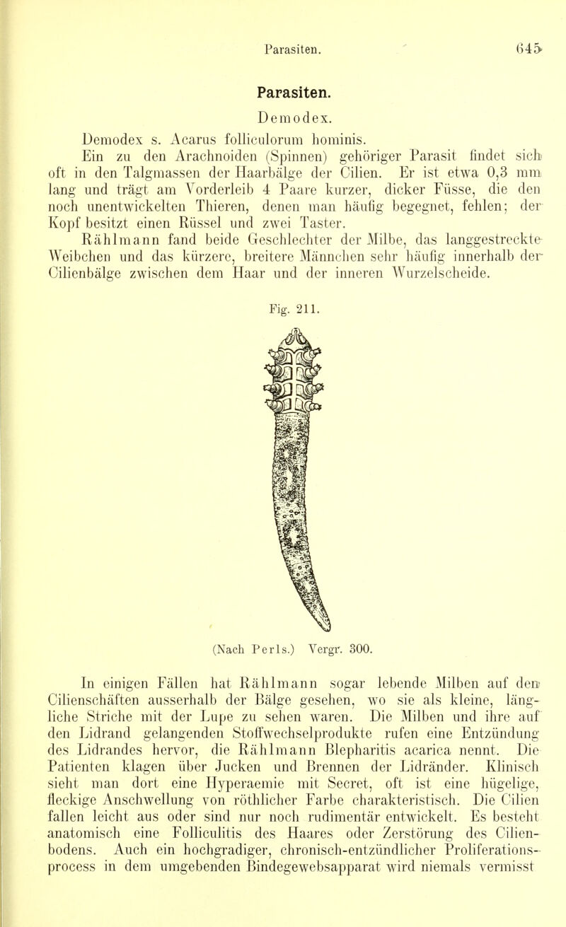 Parasiten. 645» Parasiten. Dem od ex. Demodex s. Acarus foliiculorura hominis. Ein zu den Arachnoiden (Spinnen) gehöriger Parasit findet sieb oft in den Talgmassen der Haarbälge der Cilien. Er ist etwa 0,3 mm lang und trägt am Yorderleib 4 Paare kurzer, dicker Füsse, die den noch unentwickelten Thieren, denen man häufig begegnet, fehlen; der Kopf besitzt einen Rüssel und zwei Taster. Rählmann fand beide Geschlechter der Milbe, das langgestreckte- Weibchen und das kürzere, breitere Männchen sehr häufig innerhalb der Cilienbälge zwischen dem Haar und der inneren Wurzelscheide. Fig. 211. (Nach Perls.) Vergr. 300. In einigen Fällen hat Rählmann sogar lebende Milben auf den? Cilienschäften ausserhalb der Bälge gesehen, wo sie als kleine, läng- liche Striche mit der Lupe zu sehen waren. Die Milben und ihre auf den Lidrand gelangenden Stoffwechselprodukte rufen eine Entzündung des Lidrandes hervor, die Rählmann Blepharitis acarica nennt. Die Patienten klagen über Jucken und Brennen der Lidränder. Klinisch sieht man dort eine Hyperaemie mit Secret, oft ist eine hügelige, fleckige Anschwellung von röthlicher Farbe charakteristisch. Die Cilien fallen leicht aus oder sind nur noch rudimentär entwickelt. Es besteht anatomisch eine Folliculitis des Haares oder Zerstörung des Cilien- bodens. Auch ein hochgradiger, chronisch-entzündlicher Proliferations- process in dem umgebenden Bindegewebsapparat wird niemals vermisst