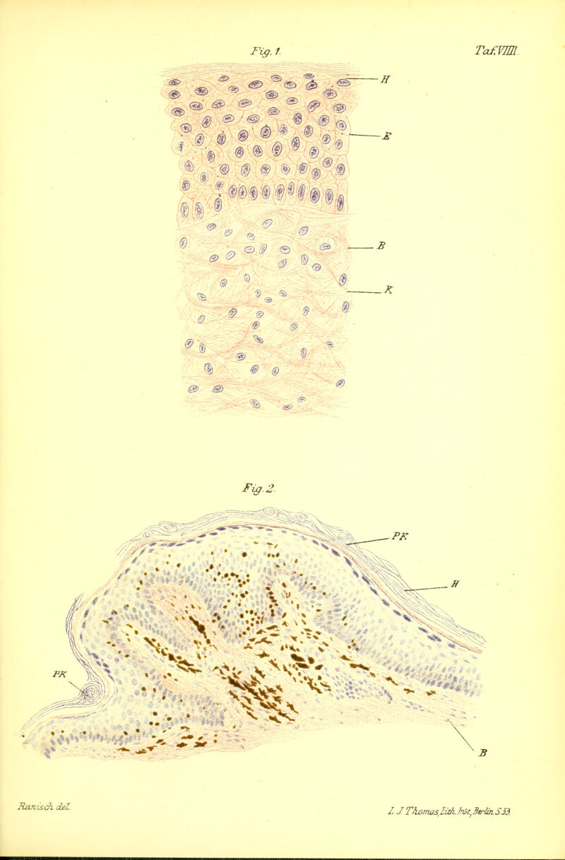 Fig.1. TcuEVM (9 1 © Hanisck cUl