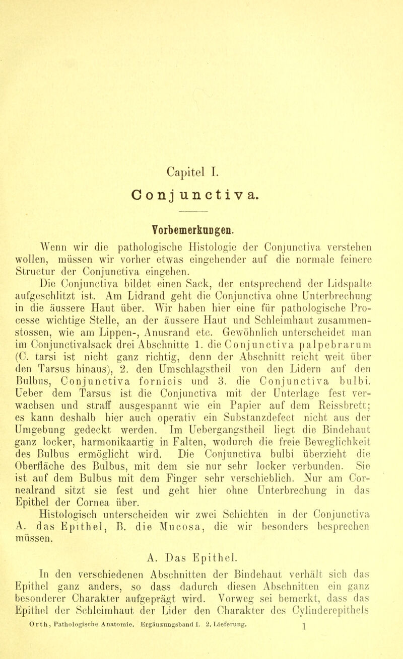 Conj unctiva. Vorbemerkungen. Wenn wir die pathologische Plistologie der Conjunctiva verstehen wollen, müssen wir vorher etwas eingehender auf die normale feinere Structur der Conjunctiva eingehen. Die Conjunctiva bildet einen Sack, der entsprechend der Lidspalte aufgeschlitzt ist. Am Lidrand geht die Conjunctiva ohne Unterbrechung in die äussere Haut über. Wir haben hier eine für pathologische Pro- cesse wichtige Stelle, an der äussere Haut und Schleimhaut zusammen- stossen, wie am Lippen-, Anusrand etc. Gewöhnlich unterscheidet man im Conjunctivalsack drei Abschnitte L die Conjunctiva palpebrarum (C. tarsi ist nicht ganz richtig, denn der Abschnitt reicht weit über den Tarsus hinaus), 2. den Umschlagstheil von den Lidern auf den Bulbus, Conjunctiva fornicis und 3. die Conjunctiva bulbi. Ueber dem Tarsus ist die Conjunctiva mit der Unterlage fest ver- wachsen und straff ausgespannt wie ein Papier auf dem Reissbrett; es kann deshalb hier auch operativ ein Substanzdefect nicht aus der Umgebung gedeckt werden. Im Uebergangstheil liegt die Bindehaut ganz locker, harmonikaartig in Falten, wodurch die freie Beweglichkeit des Bulbus ermöglicht wird. Die Conjunctiva bulbi überzieht die Oberfläche des Bulbus, mit dem sie nur sehr locker verbunden. Sie ist auf dem Bulbus mit dem Finger sehr verschieblich. Nur am Cor- nealrand sitzt sie fest und geht hier ohne Unterbrechung in das Epithel der Cornea über. Histologisch unterscheiden wir zwei Schichten in der Conjunctiva A. das Epithel, B. die Mucosa, die wir besonders besprechen müssen. A. Das Epithel. In den verschiedenen Abschnitten der Bindehaut verhält sich das Epithel ganz anders, so dass dadurch diesen Abschnitten ein ganz besonderer Charakter aufgeprägt wird. Vorweg sei bemerkt, dass das Epithel der Schleimhaut der Lider den Charakter des Cylinderepithels Orth, Pathologische Anatomie, Ergäuzimgsband I. 2. Lieferung, -j^