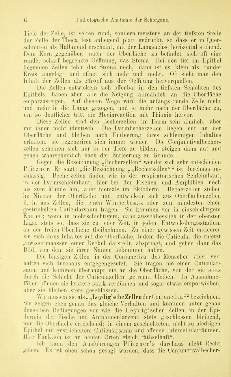 Tiefe der Zelle, ist selten rund, sondern meistens an der tiefsten Stelle der Zelle der Theca fest anliegend platt gedrückt, so dass er in Quer- schnitten als Halbmond erscheint, mit der Längsachse horizontal stehend. Dem Kern gegenüber, nach der Oberfläche zu befindet sich oft eine runde, scharf begrenzte Oeffnung, das Stoma. Bei den tief im Epithel liegenden Zellen fehlt das Stoma noch, dann ist es klein als runder Kreis angelegt und öffnet sich mehr und mehr. Oft sieht man den Inhalt der Zellen als Pfropf aus der Oeffnung hervorquellen. Die Zellen entwickeln sich offenbar in den tiefsten Schichten des Epithels, haben aber alle die Neigung allmählich an die Oberfläche emporzusteigen. Auf diesem Wege wird die anfangs runde Zelle mehr und mehr in die Länge gezogen, und je mehr nach der Oberfläche zu, um so deutlicher tritt die Mucinreaction mit Thionin hervor. Diese Zellen sind den Becherzellen im Darm sehr ähnlich, aber mit ihnen nicht identisch. Die Darrabecherzellen liegen nur an der Oberfläche und bleiben nach Entleerung ihres schleimigen Inhaltes erhalten, sie regeneriren sich immer wieder. Die Conjunctivalbecher- zellen scheinen sich nur in der Tiefe zu bilden, steigen dann auf und gehen wahrscheinlich nach der Entleerung zu Grunde. Gegen die Bezeichnung „Becherzellen wendet sich sehr entschieden Pfitzner. Er sagt: „die Bezeichnung „„Becherzellen ist durchaus un- zulässig. Becherzellen finden wir in der respiratorischen Schleimhaut, in der Darmschleimhaut, hier bei den Fischen und Amphibien noch bis zum Munde hin, aber niemals im Ektoderm. Becherzellen stehen im Niveau der Oberfläche und entwickeln sich aus Oberflächenzellen d. h. aus Zellen, die einen Wimperbesatz oder zum mindesten einen gestrichelten Cuticularsaum tragen. Sie kommen vor in einschichtigem Epithel; wenn in mehrschichtigem, dann ausschliesslich in der obersten Lage, stets so, dass sie zu jeder Zeit, in jedem Entwickelungsstadium an der freien Oberfläche theilnehmen. Zu einer gewissen Zeit entleeren sie sich ihres Inhaltes auf die Oberfläche, indem die Cuticula, die zuletzt gewissermaassen einen Deckel darstellt, abspringt, und geben dann das Bild, von dem sie ihren Namen bekommen haben. Die blasigen Zellen in der Conjunctiva des Menschen aber ver- halten sich durchaus entgegengesetzt. Sie tragen nie einen Cuticular- saum und kommen überhaupt nie an die Oberfläche, von der sie stets durch die Schicht der Cuticulazellen getrennt bleiben. In Ausnahme- fällen können sie letztere stark verdünnen und sogar etwas emporwölben, aber sie bleiben stets geschlossen. Wir müssen sie als „„Leydig'sche Zellen der Conjunctiva bezeichnen. Sie zeigen eben genau das gleiche Verhalten und kommen unter genau denselben Bedingungen vor wie die Leydig'sehen Zellen in der Epi- dermis der Fische und Amphibienlarven; stets geschlossen bleibend, nur die Oberfläche erreichend; in einem geschichteten, nicht zu niedrigen Epithel mit gestricheltem Cuticularsaum und offenen Intercellularräumen. Ihre Funktion ist an beiden Orten gleich räthselhaft. Ich kann den Ausführungen Pfitzner's durchaus nicht Kecht geben. Es ist oben schon gesagt worden, dass die Conjunctivalbecher-