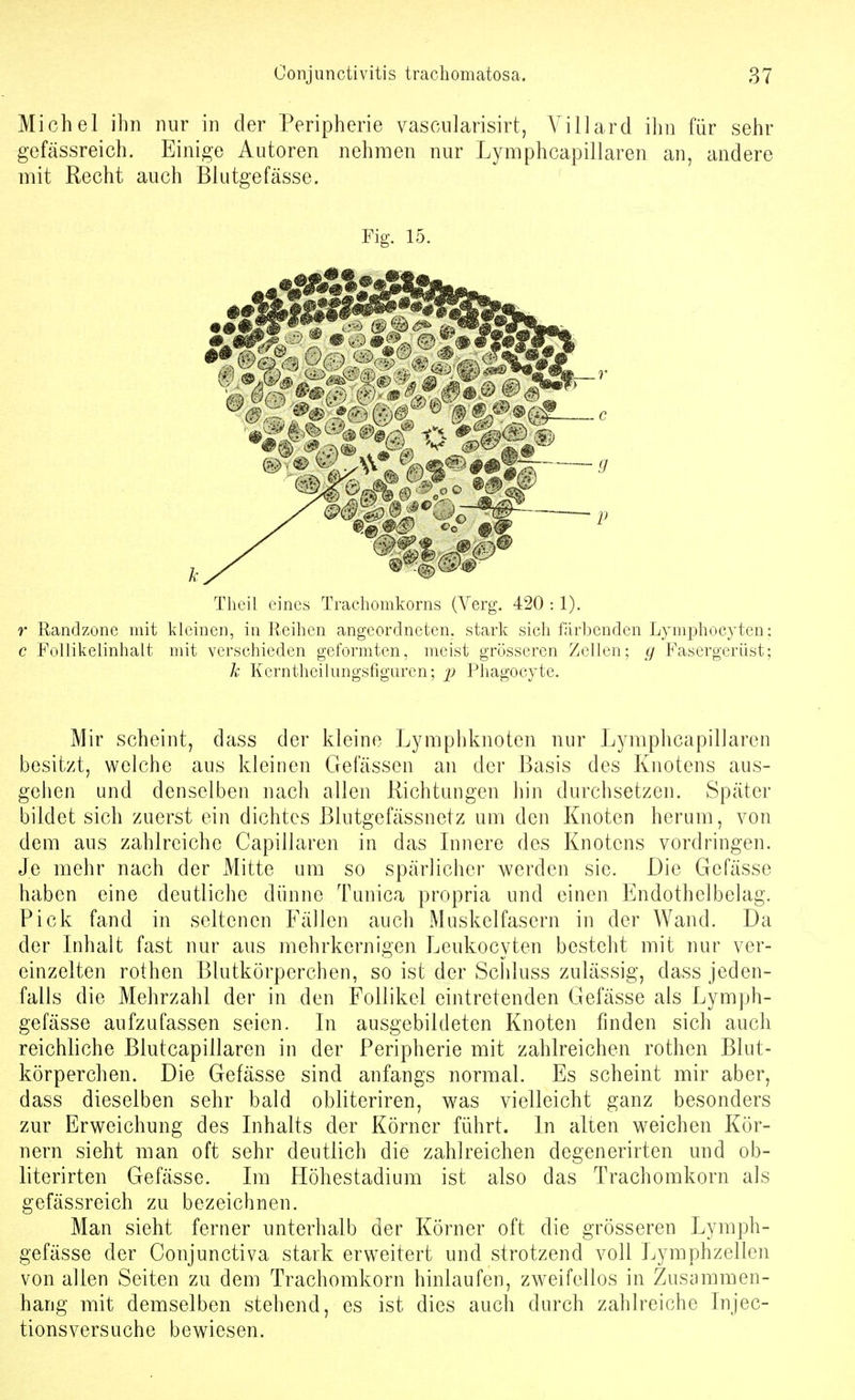 Michel ihn nur in der Peripherie vascnlarisirt, A'^illard ihn für sehr gefässreich. Einige Autoren nehmen nur Lymphcapillaren an, andere mit Recht auch Blutgefässe. Tlieil eines Traehomkorns (Yerg. 420 :1). r Randzone mit kleinen, in Reihen angeordneten, stark sich färbenden Lymphocyten; c FoUikeünhalt mit verschieden geformten, meist grösseren Zellen; g Fasergerüst; k Kerntheilungsfiguren; 'p Phagocyte. Mir scheint, dass der kleine Lymphknoten nur Lymphcapillaren besitzt, welche aus kleinen Gefässen an der Basis des Knotens aus- gehen und denselben nach allen Richtungen hin durchsetzen. Später bildet sich zuerst ein dichtes Blutgefässnetz um den Knoten herum, von dem aus zahlreiche Capillaren in das Innere des Knotens vordringen. Je mehr nach der iVIitte um so spärlicher werden sie. Die Gefässe haben eine deutliche dünne Tunica propria und einen Endothelbelag. Pick fand in seltenen Fällen auch Muskelfasern in der Wand. Da der Inhalt fast nur aus mehrkernigen Leukocyten besteht mit nur ver- einzelten rothen Blutkörperchen, so ist der Schluss zulässig, dass jeden- falls die Mehrzahl der in den Follikel eintretenden Gefässe als Lymph- gefässe aufzufassen seien. In ausgebildeten Knoten finden sich auch reichliche Blutcapillaren in der Peripherie mit zahlreichen rothen Blut- körperchen. Die Gefässe sind anfangs normal. Es scheint mir aber, dass dieselben sehr bald obliteriren, was vielleicht ganz besonders zur Erweichung des Inhalts der Körner führt. In alten weichen Kör- nern sieht man oft sehr deutlich die zahlreichen degenerirten und ob- literirten Gefässe. Im Höhestadium ist also das Trachomkorn als gefässreich zu bezeichnen. Man sieht ferner unterhalb der Körner oft die grösseren Lymph- gefässe der Conjunctiva stark erweitert und strotzend voll Lymphzellen von allen Seiten zu dem Trachomkorn hinlaufen, zweifellos in Zusammen- hang mit demselben stehend, es ist dies auch durch zahlreiche Injec- tionsversuche bewiesen. Fig. 15.