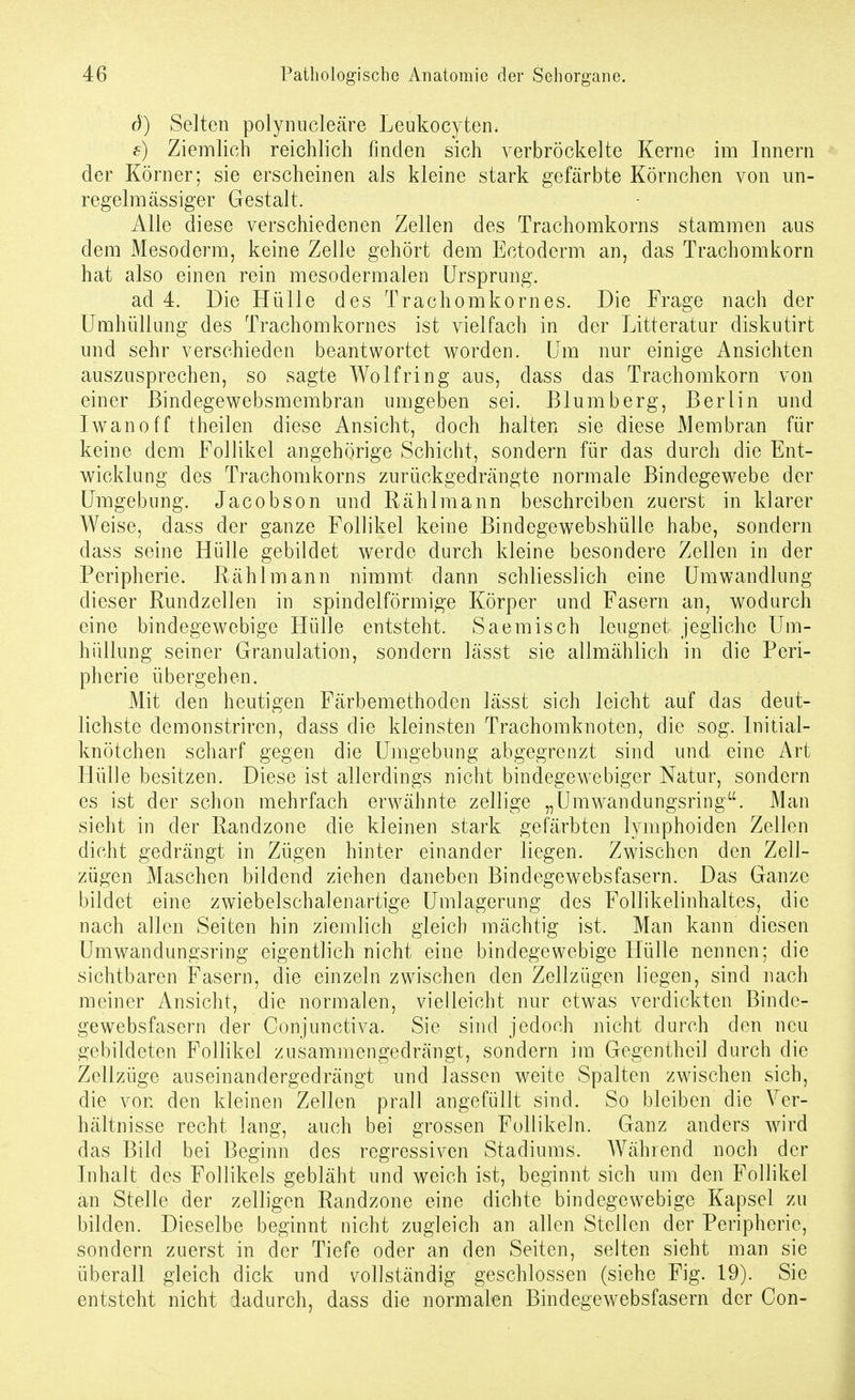 d) Selten polyniicleäre Leukoc3'ten. f) Ziemlich reichlich finden sich verbröckelte Kerne im Innern der Körner; sie erscheinen als kleine stark gefärbte Körnchen von un- regelmässiger Gestalt. Alle diese verschiedenen Zellen des Trachomkorns stammen aus dem Mesoderm, keine Zelle gehört dem Ectoderm an, das Trachomkorn hat also einen rein mesodermalen Ursprung. ad 4. Die Hülle des Trachomkornes. Die Frage nach der Umhüllung des Trachomkornes ist vielfach in der Litteratur diskutirt und sehr verschieden beantwortet worden. Um nur einige Ansichten auszusprechen, so sagte Wolf ring aus, dass das Trachomkorn von einer ßindegewebsmembran umgeben sei. Blumberg, Berlin und Iwanoff theilen diese Ansicht, doch halten sie diese Membran für keine dem Follikel angehörige Schicht, sondern für das durch die Ent- wicklung des Trachomkorns zurückgedrängte normale Bindegewebe der Umgebung. Jacobson und Rählmann beschreiben zuerst in klarer Weise, dass der ganze Follikel keine Bindegewebshülle habe, sondern dass seine Hülle gebildet werde durch kleine besondere Zellen in der Peripherie. Rählmann nimmt dann schliesslich eine Umwandlung dieser Rundzellen in spindelförmige Körper und Fasern an, wodurch eine bindegewebige Hülle entsteht. Saemisch leugnet jegliche Um- hüllung seiner Granulation, sondern lässt sie allmählich in die Peri- pherie übergehen. Mit den heutigen Färbemethoden lässt sich leicht auf das deut- lichste demonstriren, dass die kleinsten Trachomknoten, die sog. Initial- knötchen scharf gegen die Umgebung abgegrenzt sind und eine Art Hülle besitzen. Diese ist allerdings nicht bindegewebiger Natur, sondern es ist der schon mehrfach erwähnte zellige „Umwandungsring. Man sieht in der Randzone die kleinen stark gefärbten lymphoiden Zellen dicht gedrängt in Zügen hinter einander liegen. Zwischen den Zell- zügen Maschen bildend ziehen daneben Bindegewebsfasern. Das Ganze bildet eine zwiebelschalenartige Umlagerung des Follikelinhaltes, die nach allen Seiten hin ziemlich gleich mächtig ist. Man kann diesen Umwandungsring eigentlich nicht eine bindegewebige Hülle nennen; die sichtbaren Fasern, die einzeln zwischen den Zellzügen liegen, sind nach meiner Ansicht, die normalen, vielleicht nur etwas verdickten Binde- gewebsfasern der Conjunctiva. Sie sind jedoch nicht durch den neu gebildeten Follikel zusammengedrängt, sondern im Gegentheil durch die Zellzüge auseinandergedrängt und lassen weite Spalten zwischen sich, die von den kleinen Zellen prall angefüllt sind. So bleiben die Ver- hältnisse recht lang, auch bei grossen Follikeln. Ganz anders wird das Bild bei Beginn des regressiven Stadiums. AVähiend noch der Inhalt des Follikels gebläht und weich ist, beginnt sich um den Follikel an Stelle der zelligen Randzone eine dichte bindegewebige Kapsel zu bilden. Dieselbe beginnt nicht zugleich an allen Stellen der Peripherie, sondern zuerst in der Tiefe oder an den Seiten, selten sieht man sie überall gleich dick und vollständig geschlossen (siehe Fig. 19). Sie entsteht nicht dadurch, dass die normalen Bindegewebsfasern der Con-