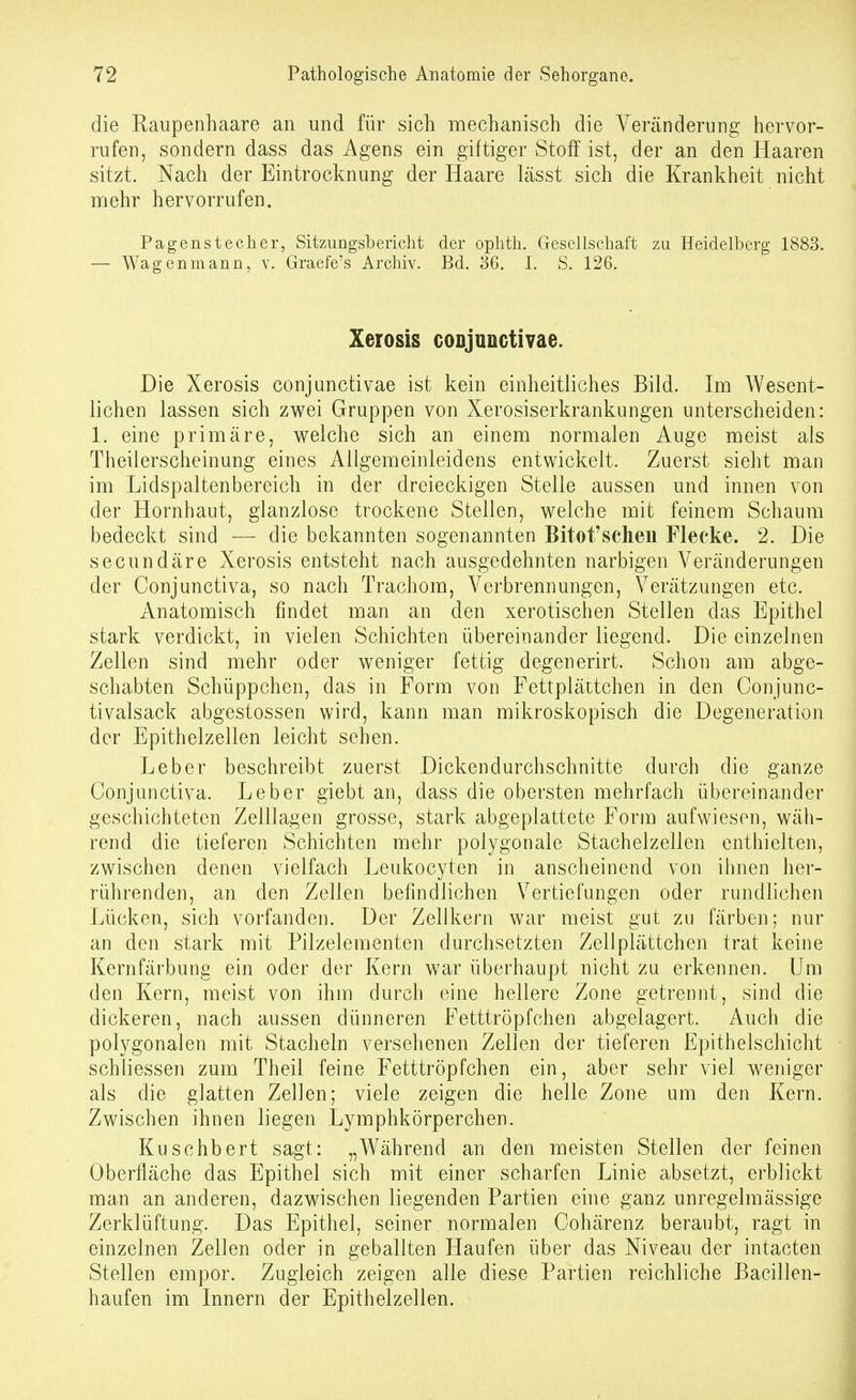 die Eaupenhaare an und für sich mechanisch die Veränderung hervor- rufen, sondern dass das Agens ein giftiger Stoff ist, der an den Haaren sitzt. Nach der Eintrocknung der Haare lässt sich die Krankheit nicht nciehr hervorrufen. Pagenstecher, Sitzungsbericht der ophth. Gesellschaft zu Heidelberg 1883. — Wagenmann, v. Graefe's Archiv. Bd. 36. I. S. 126. Xerosis conjunctivae. Die Xerosis conjunctivae ist kein einheitliches Bild. Im Wesent- lichen lassen sich zwei Gruppen von Xerosiserkrankungen unterscheiden: 1. eine primäre, welche sich an einem normalen Auge meist als Theiierscheinung eines Allgemeinleidens entwickelt. Zuerst sieht man im Lidspaltenbereich in der dreieckigen Stelle aussen und innen von der Hornhaut, glanzlose trockene Stellen, welche mit feinem Schaum bedeckt sind — die bekannten sogenannten Bitot'scheu Flecke. 2. Die secundäre Xerosis entsteht nach ausgedehnten narbigen Veränderungen der Conjunctiva, so nach Trachom, Verbrennungen, Verätzungen etc. Anatomisch findet man an den xerotischen Stellen das Epithel stark verdickt, in vielen Schichten übereinander liegend. Die einzelnen Zellen sind mehr oder weniger fettig degenerirt. Schon am abge- schabten Schüppchen, das in Form von Fettpläitchen in den Conjunc- tivalsack abgestossen wird, kann man mikroskopisch die Degeneration der Epithelzellen leicht sehen. Leber beschreibt zuerst Dickendurchschnitte durch die ganze Conjunctiva. Leber giebt an, dass die obersten mehrfach übereinander geschichteten Zelllagen grosse, stark abgeplattete Form aufwiesen, wäh- rend die tieferen Schichten mehr polygonale Stachelzellen enthielten, zwischen denen vielfach Leukocyten in anscheinend von ihnen her- rührenden, an den Zellen befindlichen Vertiefungen oder rundlichen Lücken, sich vorfanden. Der Zellkern war meist gut zu färben; nur an den stark mit Pilzeleraenten durchsetzten Zellplättchen trat keine Kernfärbung ein oder der Kern war überhaupt nicht zu erkennen. Um den Kern, meist von ihm durch eine hellere Zone getrennt, sind die dickeren, nach aussen dünneren Fetttröpfchen abgelagert. Auch die polygonalen mit Stacheln versehenen Zellen der tieferen Epithelschicht schliessen zum Theil feine Fetttröpfchen ein, aber sehr viel weniger als die glatten Zellen; viele zeigen die helle Zone um den Kern. Zwischen ihnen liegen Lymphkörperchen. Kuschbert sagt: „Während an den meisten Stellen der feinen Oberfläche das Epithel sich mit einer scharfen Linie absetzt, erblickt man an anderen, dazwischen liegenden Partien eine ganz unregelmässige Zerklüftung. Das Epithel, seiner normalen Cohärenz beraubt, ragt in einzelnen Zellen oder in geballten Haufen über das Niveau der intacten Stellen empor. Zugleich zeigen alle diese Partien reichliche Bacillen- haufen im Innern der Epithelzellen.
