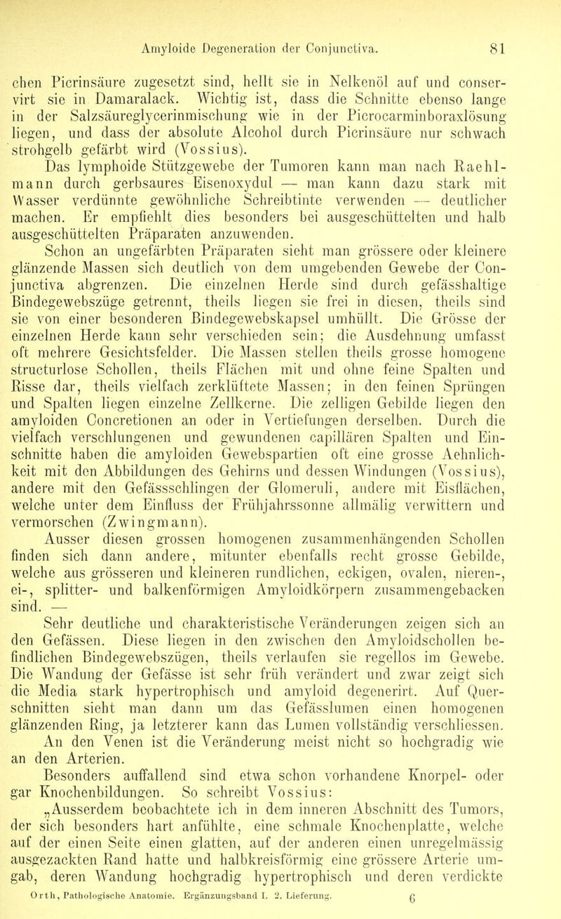 chen Picrinsänre zugesetzt sind, hellt sie in Nelkenöl auf und conser- virt sie in Damaralack. Wichtig ist, dass die Schnitte ebenso lange in der Salzsäureglycerinmischung wie in der Picrocarminboraxlösung liegen, und dass der absolute Alcohol durch Picrinsäure nur schwach strohgelb gefärbt wird (Vossius). Das lymphoide Stützgewebe der Tumoren kann man nach Raehl- mann durch gerbsaures Eisenoxydul — man kann dazu stark mit Wasser verdünnte gewöhnliche Schreibtinte verwenden — deutlicher machen. Er empfiehlt dies besonders bei ausgeschüttelten und halb ausgeschüttelten Präparaten anzuwenden. Schon an ungefärbten Präparaten sieht man grössere oder kleinere glänzende Massen sich deutlich von dem umgebenden Gewebe der Con- junctiva abgrenzen. Die einzelnen Herde sind durch gefässhaltige Bindegewebszüge getrennt, theils liegen sie frei in diesen, fheils sind sie von einer besonderen Bindegewebskapsel umhüllt. Die Grösse der einzelnen Herde kann sehr verschieden sein; die Ausdehnung umfasst oft mehrere Gesichtsfelder. Die Massen stellen theils grosse homogene structurlose Schollen, theils Flächen mit und ohne feine Spalten und Risse dar, theils vielfach zerklüftete Massen; in den feinen Sprüngen und Spalten liegen einzelne Zellkerne. Die zeliigen Gebilde liegen den amyloiden Concretionen an oder in Vertiefungen derselben. Durch die vielfach verschlungenen und gewundenen capillären Spalten und Ein- schnitte haben die amyloiden Gew^ebspartien oft eine grosse Aehnlich- keit mit den Abbildungen des Gehirns und dessen Windungen (Vossius), andere mit den Gefässschlingen der Glomeruli, andere mit Eisflächen, w^elche unter dem Einfluss der Frühjahrssonne allmälig verwittern und vermorschen (Zwingmann). Ausser diesen grossen homogenen zusammenhängenden Schollen finden sich dann andere, mitunter ebenfalls recht grosse Gebilde, welche aus grösseren und kleineren rundlichen, eckigen, ovalen, nieren-, ei-, Splitter- und balkenförmigen Amyloidkörpern zusammengebacken sind. — Sehr deutliche und charakteristische Veränderungen zeigen sich an den Gefässen. Diese liegen in den zwischen den Amyloidschollen be- findlichen Bindegewebszügen, theils verlaufen sie regellos im Gewebe. Die Wandung der Gefässe ist sehr früh verändert und zwar zeigt sich die Media stark hypertrophisch und amyloid degenerirt. Auf Quer- schnitten sieht man dann um das Gefässlumen einen homogenen glänzenden Ring, ja letzterer kann das Lumen vollständig verschliessen. An den Venen ist die Veränderung meist nicht so hochgradig wie an den Arterien. Besonders auffallend sind etwa schon vorhandene Knorpel- oder gar Knochenbildungen. So schreibt Vossius: „Ausserdem beobachtete ich in dem inneren Abschnitt des Tumors, der sich besonders hart anfühlte, eine schmale Knochenplatte, welche auf der einen Seite einen glatten, auf der anderen einen unregelmässig ausgezackten Rand hatte und halbkreisförmig eine grössere Arterie um- gab, deren Wandung hochgradig hypertrophisch und deren verdickte 0 rth, Pathologische Anatomie. Ergänzungsband!. 2. Lieferung. c