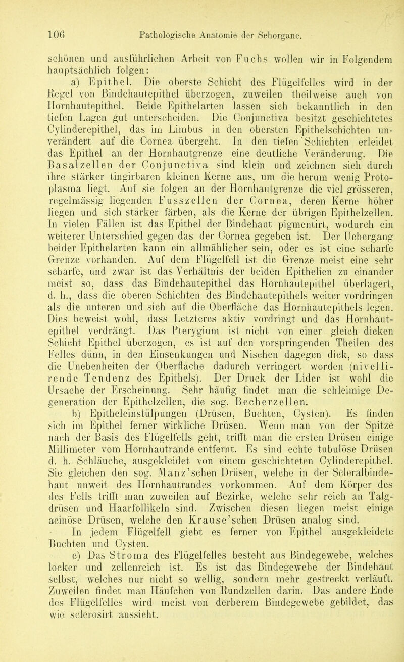 schönen und ausführlichen Arbeit von Fuchs wollen wir in Folgendem hauptsächlich folgen: a) Epithel. Die oberste Schicht des Fiügelfelles wird in der Regel von ßindehautepithel überzogen, zuweilen theilweise auch von Hornhautepithel. Beide Epithelarten lassen sich bekanntlich in den tiefen Lagen gut unterscheiden. Die Conjunctiva besitzt geschichtetes Cylinderepithel, das im Limbus in den obersten Epithelschichten un- verändert auf die Cornea übergeht. In den tiefen' Schichten erleidet das Epithel an der Hornhautgrenze eine deutliche Veränderung. Die Basalzellen der Conjunctiva sind klein und zeichnen sich durch ihre stärker tingirbaren kleinen Kerne aus, um die herum wenig Proto- plasma liegt. Auf sie folgen an der Hornhautgrenze die viel grösseren, regelmässig liegenden Fusszellen der Cornea, deren Kerne höher liegen und sich stärker färben, als die Kerne der übrigen Epithelzellen. In vielen Fällen ist das Epithel der Bindehaut pigmentirt, wodurch ein weiterer Unterschied gegen das der Cornea gegeben ist. Der Uebergang beider Epithelarten kann ein allmählicher sein, oder es ist eine scharfe Grenze vorhanden. Auf dem Flügelfell ist die Grenze meist eine sehr scharfe, und zwar ist das Verhältnis der beiden Epithelicn zu einander meist so, dass das Bindehautepithel das Hornhautepithel überlagert, d. h., dass die oberen Schichten des Bindehautepithels weiter vordringen als die unteren und sich auf die Oberfläche das Hornhautepithels legen. Dies beweist wohl, dass Letzteres aktiv vordringt und das Hornhaut- epithel verdrängt. Das Pterygium ist nicht von einer gleich dicken Schicht Epithel überzogen, es ist auf den vorspringenden Theilen des Felles dünn, in den Einsenkungen und Nischen dagegen dick, so dass die Unebenheiten der Oberfläche dadurch verringert worden (nivelli- rende Tendenz des Epithels). Der Druck der Lider ist wohl die Ursache der Erscheinung. Sehr häufig findet man die schleimige De- generation der Epithelzellen, die sog. Becherzellen. b) Epitheleinstülpungen (Drüsen, Buchten, Cysten). Es finden sich im Epithel ferner wirkliche Drüsen. Wenn man von der Spitze nach der Basis des Flügel felis geht, trifft man die ersten Drüsen einige Millimeter vom Hornhautrande entfernt. Es sind echte tubulöse Drüsen d. h. Schläuche, ausgekleidet von einem geschichteten Cylinderepithel. Sie gleichen den sog. Manz'sehen Drüsen, welche in der Scleralbinde- haut unweit des Hornhautrandes vorkommen. Auf dem Körper des des Fells trifft man zuweilen auf Bezirke, welche sehr reich an Talg- drüsen und Haarfollikeln sind. Zwischen diesen liegen meist einige acinöse Drüsen, welche den Krause'sehen Drüsen analog sind. In jedem Flügelfell giebt es ferner von Epithel ausgekleidete Buchten und Cysten. c) Das Stroma des Flügelfelles besteht aus Bindegewebe, welches locker und zellenreich ist. Es ist das Bindegewebe der Bindehaut selbst, welches nur nicht so wellig, sondern mehr gestreckt verläuft. Zuweilen findet man Häufchen von Rundzellen darin. Das andere Ende des Flügelfelles wird meist von derberem Bindegewebe gebildet, das wie sclerosirt aussieht.