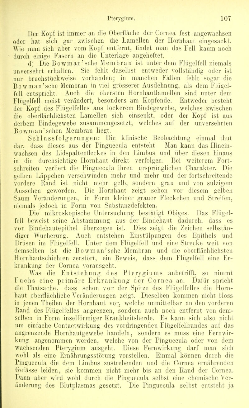 Der Kopf ist immer an die Oberfläche der Cornea fest angewachsen oder hat sich gar zwischen die Lamellen der Hornhaut eingesackt. Wie man sich aber vom Kopf entfernt, findet man das Fell kaum noch durch einige Fasern an die Unterlage angeheftet. d) Die Bowman'sche Membran ist unter dem Flügelfell niemals unversehrt erhalten. Sie fehlt daselbst entweder vollständig oder ist nur bruchstückweise vorhanden; in manchen Fällen fehlt sogar die Bowman'sche Membran in viel grösserer Ausdehnung, als dem Flügel- fell entspricht. Auch die obersten Hornhautlamellen sind unter dem Flügelfell meist verändert, besonders am Kopfende. Entweder besteht der Kopf des Flügelfelles aus lockerem Bindegewebe, welches zwischen die oberflächlichsten Lamellen sich einsenkt, oder der Kopf ist aus derbem Bindegewebe zusammengesetzt, welches auf der unversehrten Bowman'sehen Membran liegt. Schlussfolgerungen: Die klinische Beobachtung einmal thut dar, dass dieses aus der Pinguecula entsteht. Man kann das Hinein- wachsen des Lidspaltenfleckes in den Limbus und über diesen hinaus in die durchsichtige Hornhaut direkt verfolgen. Bei w^eiterem Fort- schreiten verliert die Pinguecula ihren ursprünglichen Charakter. Die gelben Läppchen verschwinden mehr und mehr und der fortschreitende vordere Rand ist nicht mehr gelb, sondern grau und von sulzigem x^usschen geworden. Die Hornhaut zeigt schon vor diesem gelben Saum Veränderungen, in Form kleiner grauer Fleckchen und Streifen, niemals jedoch in Form von Substanzdefekten. Die mikroskopische Untersuchung bestätigt Obiges. Das P'lügel- fell beweist seine Abstammung aus der Bindehaut dadurch, dass es von Bindehautepithel überzogen ist. Dies zeigt die Zeichen selbstän- diger Wucherung. Auch entstehen Einstülpungen des Epithels und Drüsen im Flügelfell. Unter dem Flügelfell und eine Strecke weit von demselben ist die Bowman'sche Membran und die oberflächlichsten Hornhautschichten zerstört, ein Beweis, dass dem Flügelfell eine Er- krankung der Cornea vorausgeht. Was die Entstehung des Pterygiums anbetrifft, so nimmt Fuchs eine primäre Erkrankung der Cornea an. Dafür spricht die Thatsache, dass schon vor der Spitze des Flügelfelles die Horn- haut oberflächliche Veränderungen zeigt. Dieselben kommen nicht bloss in jenen Theilen der Hornhaut vor, welche unmittelbar an den vorderen Rand des Flügel feiles angrenzen, sondern auch noch entfernt von dem- selben in Form inselförmiger Krankheitsherde. Es kann sich also nicht um einfache Contactwirkung des vordringenden Flügelfellrandes auf das angrenzende Hornhautgewebe handeln, sondern es muss eine FernAvir- kung angenommen werden, welche von der Pinguecula oder von dem wachsenden Pterygium ausgeht. Diese Fern Wirkung darf man sich wohl als eine Ernährungsstörung vorstellen. Einmal können durch die Pinguecula die dem Limbus zustrebenden und die Cornea ernährenden Gefässe leiden, sie kommen nicht mehr bis an den Rand der Cornea. Dann aber wird wohl durch die Pinguecula selbst eine chemische Ver- änderung des Blutplasmas gesetzt. Die Pinguecula selbst entsteht ja