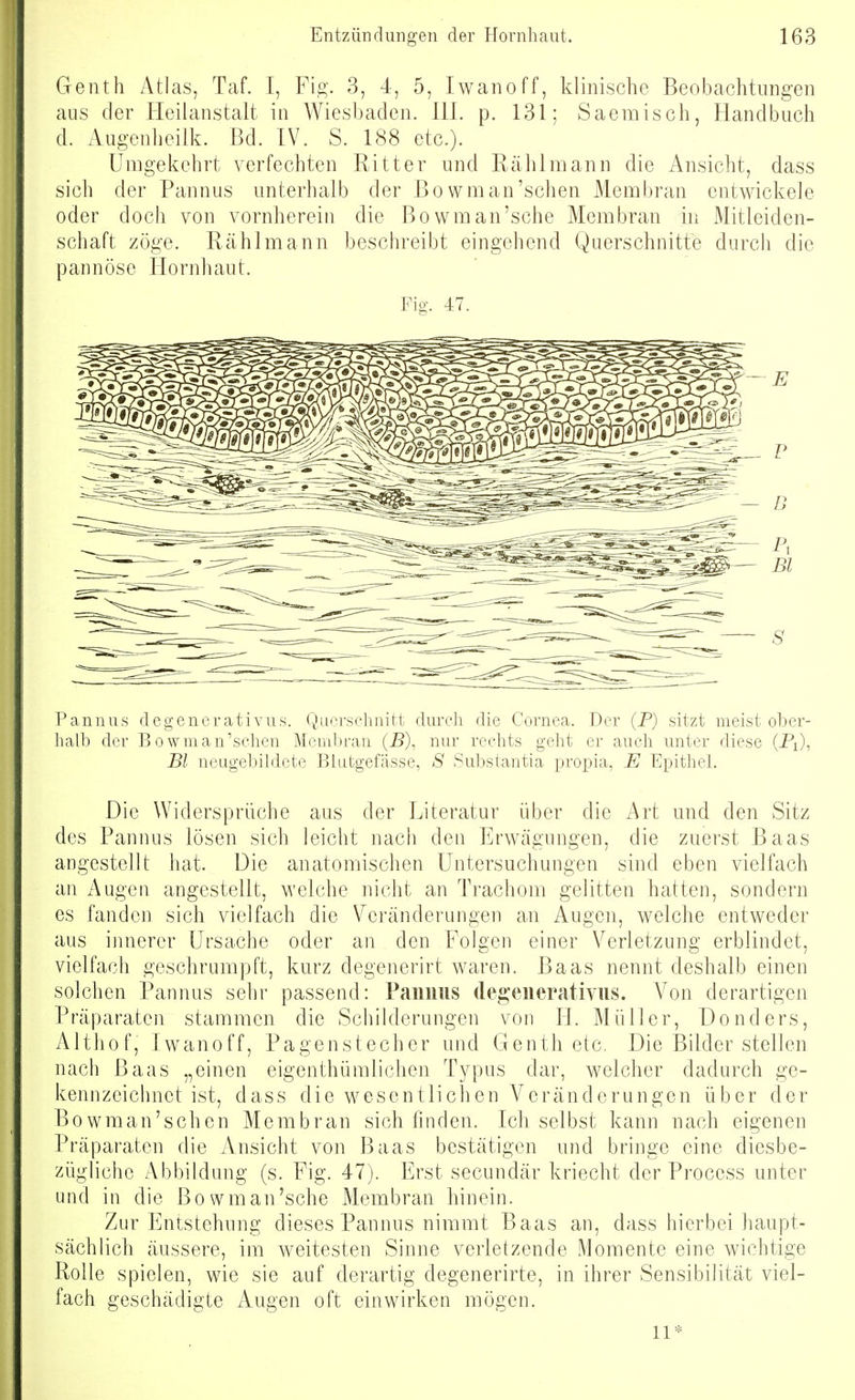 Genth Atlas, Taf. I, Fig. 3, 4, 5, Iwanoff, klinische Beobachtungen ans der Heilanstalt in Wiesbaden. III. p. 131; Saemisch, Handbuch d. Augenheilk. Bd. IV. S. 188 etc.). Umgekehrt verfechten Ritter und Rählmann die Ansicht, dass sich der Pannus unterhalb der Bowman'schen Membran entwickele oder doch von vornherein die Bowman'sche Membran in Mitleiden- schaft zöge. Rählmann beschreibt eingehend Querschnitte durch die pannöse Hornhaut. Fig. 47. Pannus degenerativus. Querschnitt durch die Cornea. Der (P) sitzt meist ober- halb der Bowman'schen Membran (5), nur rechts geht er auch unter diese (Pi), Bl neugebildete Blutgefässe, S Substantia propia, E Epithel. Die Widersprüche aus der Literatur über die Art und den Sitz des Pannus lösen sich leicht nach den Erwägungen, die zuerst Baas angestellt hat. Die anatomischen Untersuchungen sind eben vielfach an Augen angestellt, welche nicht an Trachom gelitten hatten, sondern es fanden sich vielfach die Veränderungen an Augen, welche entweder aus innerer Ursache oder an den Folgen einer Verletzung erblindet, vielfach geschrumpft, kurz degenerirt waren. Baas nennt deshalb einen solchen Pannus sehr passend: Pamms degenerativus. A^on derartigen Präparaten stammen die Schilderungen von IL Müller, Donders, Althof, Iwanoff, Pagenstecher und Genth etc. Die Bilder stellen nach Baas „einen eigenthümlichen Typus dar, welcher dadurch ge- kennzeichnet ist, dass die wesentlichen Veränderungen über der Bowman'schen Membran sich finden. Ich selbst kann nach eigenen Präparaten die Ansicht von Baas bestätigen und bringe eine diesbe- zügliche Abbildung (s. Fig. 47). Erst secundär kriecht der Process unter und in die Bowman'sche Membran hinein. Zur Entstehung dieses Pannus nimmt Baas an, dass hierbei haupt- sächlich äussere, im weitesten Sinne verletzende Momente eine wichtige Rolle spielen, wie sie auf derartig degenerirte, in ihrer Sensibilität viel- fach geschädigte Augen oft einwirken mögen. 11*