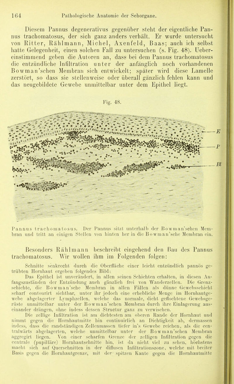 Diesem Pannus degenerativus gegenüber steht der eigentliche Pan- nus trachomatosus, der sich ganz anders verhält. Er wurde untersucht von Ritter, Rählniann, Michel, Axenfeld, Baas; auch ich selbst hatte Gelegenheit, einen solchen Fall zu untersuchen (s. Fig. 48). üeber- einstimmend geben die Autoren an, dass bei dem Pannus trachomatosus die entzündliche Infiltration unter der anfänglich noch vorhandenen Bowm an'sehen Membran sich entwickelt; später wird diese Lamelle zerstört, so dass sie stellenweise oder überall gänzlich fehlen kann und das neugebildete Gewebe unmittelbar unter dem Epithel liegt. Fig. 48. Pannus trachomatosus. Der Pannus sitzt unterhalb der Bowman'schen Mem- bran und tritt an einigen Stellen von hinten her in die Bowman'sche Membran ein. Besonders Rählmann beschreibt eingehend den Bau des Pannus trachomatosus. Wir wollen ihm im Folgenden folgen: Schnitte senkrecht durch die Oberfläche einer leicht entzündlich pannös ge- trübten Hornhaut ergeben folgendes Bild: Das Epithel ist unverändert, in allen seinen Schichten erhalten, in diesen An- fangszuständen der Entzündung auch gänzlich frei von Wanderzellen. Die Grenz- schichte, die Bowman'sche Membran in allen Fällen als dünne Gewebsschicht scharf contourirt sichtbar, unter ihr jedoch eine erhebliche Menge im Hornhautge- webe abgelagerter Lymphzellen, welche das normale, dicht geflochtene Gewebsge- rüste unmittelbar unter der Bowman'schen Membran durch ihre Einlagerung aus- einander drängen, ohne indess deäsen Structur ganz zu verwischen. Die zellige Infiltration ist am dichtesten am oberen Rande der Hornhaut und nimmt gegen die Hornhautmitte hin continuirlich an Dichtigkeit ab, dermassen indess, dass die randständigen Zellenmassen tiefer in's Gewebe reichen, als die cen- tralwärts abgelagerten, welche unmittelbar unter der Bowman'schen Membran aggregirt liegen. Von einer scharfen Grenze der zelligen Infiltration gegen die centrale (pupiiläre) Hornhautschnitte hin, ist da nicht viel zu sehen, höchstens macht sich auf Querschnitten in der difiusen Infiltrationszone, welche mit breiter Basis gegen die Hornhautgrenze, mit de^^ spitzen Kante gegen die Hornhautmitte