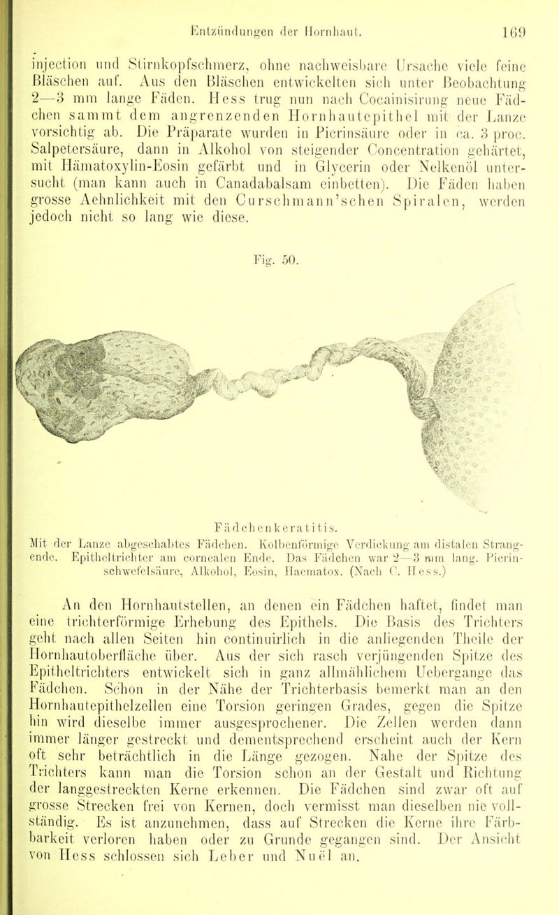 injection und Stirnkopfschmerz, ohne nachweisbare Ursache viele feine Bläschen auf. Aus den Bläschen entwickelten sich unter Beobachtung 2—3 mm lange Fäden. Hess trug nun nach Cocainisinrng neue Fäd- chen sammt dem angrenzenden Hornhautepithel mit der Lanze vorsichtig ab. Die Präparate wurden in Picrinsäure oder in ca. 3 proc. Salpetersäure, dann in Alkohol von steigender Concentration gehärtet, mit Hämatoxylin-Eosin gefärbt und in Glycerin oder Nelkenöl unter- sucht (man kann auch in Canadabalsam einbetten). Die Fäden haben grosse Aehnlichkeit mit den Curschmann'schen Spiralen, werden jedoch nicht so lang wie diese. Fig. 50. Pä dch cnkeratitis. Mit der Lanze abgeschabtes Fädehen. Kolbenförmige Verdickung am distalen Strang- ende. Epitheltricbter am cornealen Ende. Das Fädchen war 2—o mm lang. Picrin- s.chAvefelsäure, Alkohol, Eosin, Hacmatox. (Nach C. Hess.) Au den Hornhautstellen, an denen ein Fädchen haftet, findet man eine trichterförmige Erhebung des Epithels. Die Basis des Trichters geht nach allen Seiten hin continuirlich in die anliegenden Theile der Hornhautoberfläche über. Aus der sich rasch verjüngenden Spitze des Epitheltrichters entwickelt sich in ganz allmählichem Uebergange das Fädchen. Schon in der Nähe der Trichterbasis bemerkt man an den Hornhautepithelzellen eine Torsion geringen Grades, gegen die Spitze hin wird dieselbe immer ausgesprochener. Die Zellen werden dann immer länger gestreckt und dementsprechend erscheint auch der Kern oft sehr beträchtlich in die Länge gezogen. Nahe der Spitze des Trichters kann man die Torsion schon an der Gestalt und Richtung der langgestreckten Kerne erkennen. Die Fädchen sind zwar oft auf grosse Strecken frei von Kernen, doch vermisst man dieselben nie voll- ständig. Es ist anzunehmen, dass auf Strecken die Kerne ihre Färb- bark eit verloren haben oder zu Grunde gegangen sind. Der Ansicht von Hess schlössen sich Leber und Nuel an.