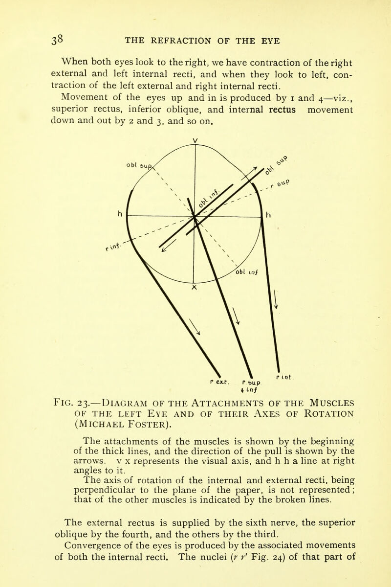 When both eyes look to the right, we have contraction of the right external and left internal recti, and when they look to left, con- traction of the left external and right internal recti. Movement of the eyes up and in is produced by i and 4—viz., superior rectus, inferior oblique, and internal rectus movement down and out by 2 and 3, and so on. Fig. 23.—Diagram of the Attachments of the Muscles of the left Eye and of their Axes of Rotation (Michael Foster). The attachments of the muscles is shown by the beginning of the thick lines, and the direction of the pull is shown by the arrows, v x represents the visual axis, and h h a line at right angles to it. The axis of rotation of the internal and external recti, being perpendicular to the plane of the paper, is not represented; that of the other muscles is indicated by the broken lines. The external rectus is supplied by the sixth nerve, the superior oblique by the fourth, and the others by the third. Convergence of the eyes is produced by the associated movements of both the internal recti. The nuclei (r r' Fig. 24) of that part of v l* sup