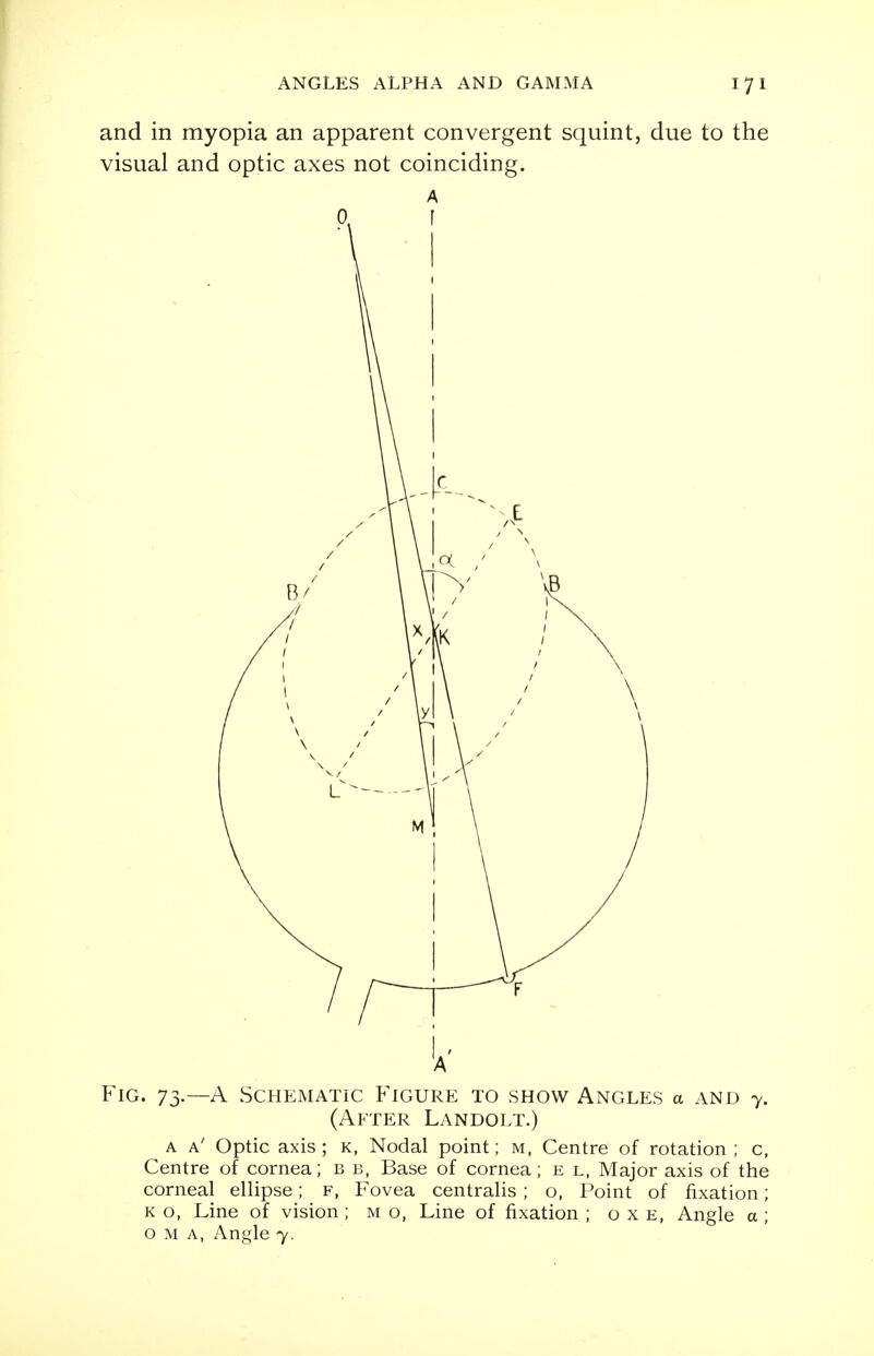 and in myopia an apparent convergent squint, due to the visual and optic axes not coinciding. A A Fig. 73.—A Schematic Figure to show Angles a and 7. (After Landolt.) a a' Optic axis; k, Nodal point; m, Centre of rotation ; c, Centre of cornea; b b, Base of cornea; e l, Major axis of the corneal ellipse; f, Fovea centralis ; o, Point of fixation; k o, Line of vision ; m o, Line of fixation ; o x e, Angle a; o m a, Angle 7.
