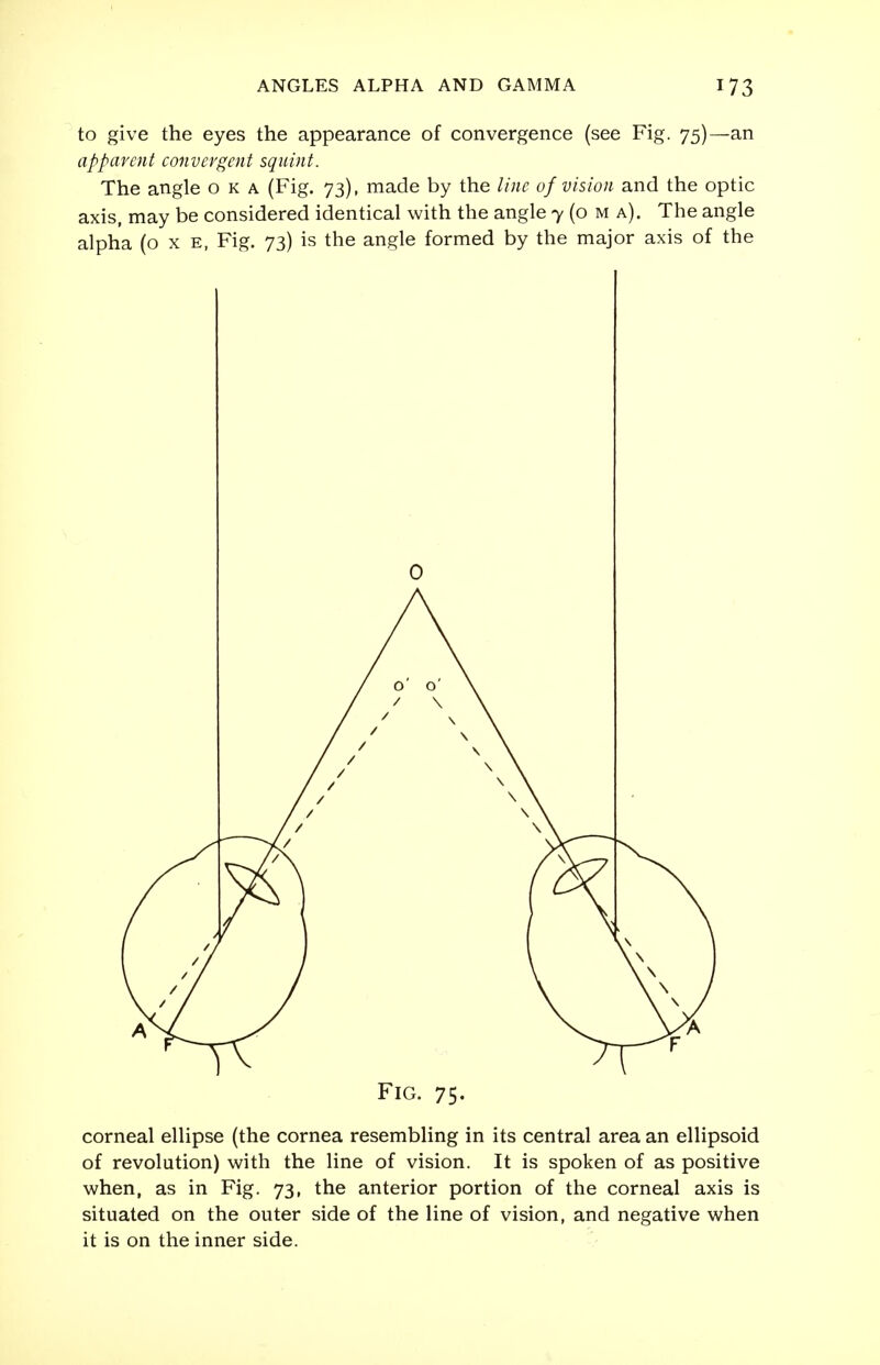 to give the eyes the appearance of convergence (see Fig. 75)—an apparent convergent squint. The angle oka (Fig. 73), made by the line of vision and the optic axis, may be considered identical with the angle 7 (o m a). The angle alpha (o x e, Fig. 73) is the angle formed by the major axis of the 0 Fig. 75- corneal ellipse (the cornea resembling in its central area an ellipsoid of revolution) with the line of vision. It is spoken of as positive when, as in Fig. 73, the anterior portion of the corneal axis is situated on the outer side of the line of vision, and negative when it is on the inner side.