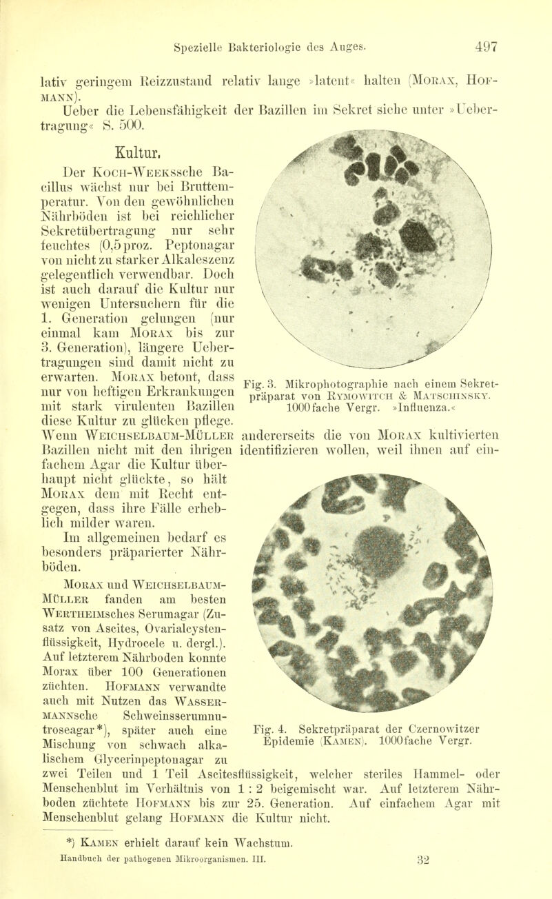 die um* zur lativ geringem Reizzustaud relativ lauge »lateut« halten (Moeax, Hof- mann). Ueber die Lebensfähigkeit der Bazillen im Sekret siehe unter »Ueber- tragung« S. 500. Kultur. Der KocH-WEEKSsche Ba- cillus wächst nur bei Bruttem- peratur. Von den gewöhnlichen Nährböden ist bei reichlicher Sekretübertragung nur sehr feuchtes (0,5proz. Peptouagar von nicht zu starker Alkaleszenz gelegentlich verwendbar. Doch ist auch darauf die Kultur nur wenigen Untersucliern für 1. Generation gelungen einmal kam Morax bis 3. Generation), längere Ueber- tragungen sind damit nicht zu erwarten. Morax betont, dass nur von heftigen Erkrankungen mit stark virulenten Bazillen diese Kultur zu glücken pflege. Wenn Weichselbaum-Müller Bazillen nicht mit den ihrigen fachem Agar die Kultur über- haupt nicht glückte, so hält Morax dem mit Recht ent- gegen, dass ihre Fälle erheb- lich milder waren. Im allgemeinen bedarf es besonders präparierter Nähr- böden. Morax und Weichselbaum- Müller fanden am besten WERTHEiMsches Serumagar (Zu- satz von Ascites, Ovarialcysten- flüssigkeit, Hydrocele u. dergl). Auf letzterem Nährboden konnte Morax über 100 Generationen züchten. Hofmann verwandte auch mit Nutzen das Wasser- MANNsche Schweinsserumnu- troseagar*), später auch eine Mischung von schwach alka- lischem Glycerinpeptonagar zu zwei Teilen und 1 Teil Ascitesflüssigkeit, welcher steriles Hammel- oder Menschenblut im Verhältnis von 1 : 2 beigemischt war. Auf letzterem Nähr- boden züchtete Hofmann bis zur 25. Generation. Auf einfachem Agar mit Menschenblut gelang Hofmann die Kultur nicht. Fig. 3. Mikrophotographie nach einem Sekret- prUparat von Rymowitch & Matschinsky. 1000fache Vergr. »Influenza.« andererseits die von Morax kultivierten identifizieren wollen, weil ihnen auf ein- Fig. 4. Sekretpräparat der Czernowitzer Epidemie (Kamen). 1000fache Vergr. *) Kamen erhielt darauf kein Wachstum. Handbucli der pathogenen Mikroorganismen. III. 32