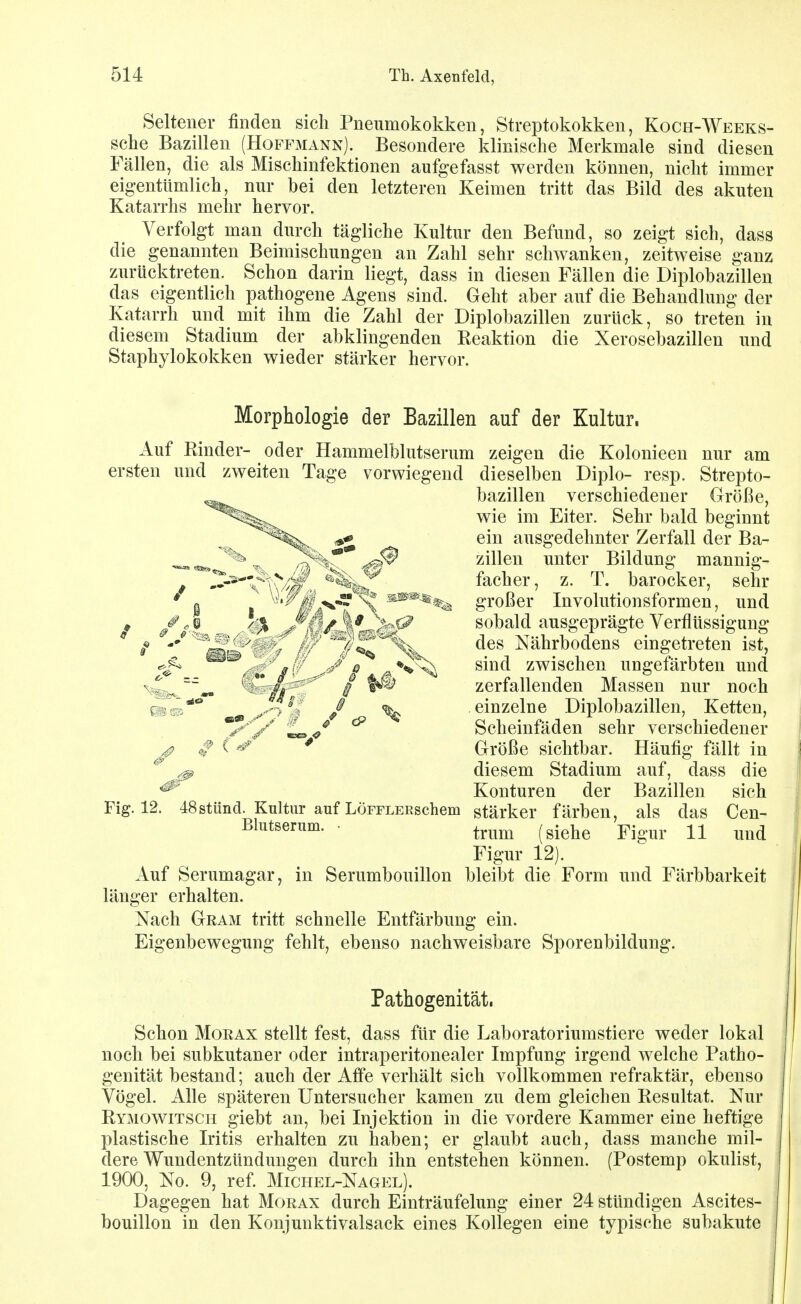 Seiteuer finden sich Pneumokokken, Streptokokken, Koch-Weeks- sche Bazillen (Hoffmann). Besondere klinische Merkmale sind diesen Fällen, die als Mischinfektionen aufgefasst werden können, nicht immer eigentümlich, nur bei den letzteren Keimen tritt das Bild des akuten Katarrhs mehr hervor. Verfolgt man durch tägliche Kultur den Befund, so zeigt sich, dass die genannten Beimischungen an Zahl sehr schwanken, zeitweise ganz zurücktreten. Schon darin liegt, dass in diesen Fällen die Diplobazillen das eigentlich pathogene Agens sind. Geht aber auf die Behandlung der Katarrh und mit ihm die Zahl der Diplobazillen zurück, so treten in diesem Stadium der abklingenden Keaktion die Xerosebazillen und Staphylokokken wieder stärker hervor. Morphologie der Bazillen auf der Kultur. Auf Rinder- oder Hammelblutserum zeigen die Kolonieen nur am ersten und zweiten Tage vorwiegend dieselben Diplo- resp. Strepto- bazillen verschiedener Größe, wie im Eiter. Sehr bald beginnt ein ausgedehnter Zerfall der Ba- zillen unter Bildung mannig- facher, z. T. barocker, sehr großer Involutionsformen, und sobald ausgeprägte Verflüssigung des Nährbodens eingetreten ist, sind zwischen ungefärbten und zerfallenden Massen nur noch einzelne Diplobazillen, Ketten, Scheinfäden sehr verschiedener Größe sichtbar. Häufig fällt in diesem Stadium auf, dass die Konturen der Bazillen sich Fig. 12. 48stund. Kultur auf LÖFFLERschem stärker färben, als das Gen- Blutserum. • ^^^^^ ^^^^^^ ^iguY 11 und Figur 12). Auf Serumagar, in Serumbouillon bleibt die Form und Färbbarkeit länsrer erhalten. Nach Gram tritt schnelle Entfärbung ein. Eigenbewegung fehlt, ebenso nachweisbare Sporenbildung. Pathogenität. Schon MoRAX stellt fest, dass für die Laboratoriumstiere weder lokal noch bei subkutaner oder intraperitonealer Impfung irgend welche Patho- genität bestand; auch der Affe verhält sich vollkommen refraktär, ebenso Vögel. Alle späteren Untersucher kamen zu dem gleichen Kesultat. Nur Rymowitsch giebt an, bei Injektion in die vordere Kammer eine heftige plastische Iritis erhalten zu haben; er glaubt auch, dass manche mil- dere Wundentzündungen durch ihn entstehen können. (Postemp Okulist, 1900, No. 9, ref. Michel-Nagel). Dagegen hat Morax durch Einträufelung einer 24 stündigen Ascites- bouillon in den Konjunktivalsack eines Kollegen eine typische subakute