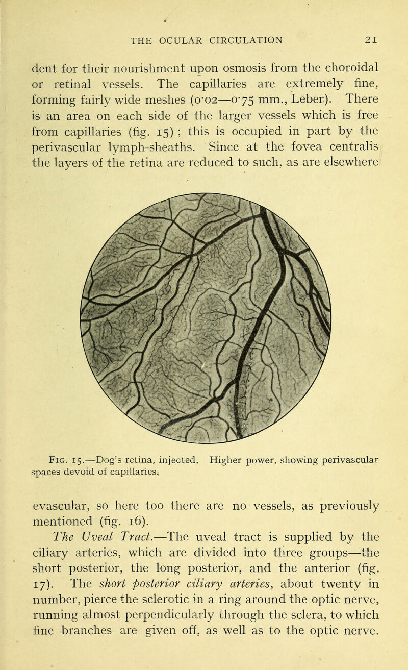 dent for their nourishment upon osmosis from the choroidal or retinal vessels. The capillaries are extremely fine, forming fairly wide meshes (0*02—0*75 mm., Leber). There is an area on each side of the larger vessels which is free from capillaries (fig. 15) ; this is occupied in part by the perivascular lymph-sheaths. Since at the fovea centralis the layers of the retina are reduced to such, as are elsewhere Fig. 15.—Dog's retina, injected. Higher power, showing perivascular spaces devoid of capillaries.; evascular, so here too there are no vessels, as previously mentioned (fig. 16). The Uveal Tract.—The uveal tract is supplied by the ciliary arteries, which are divided into three groups—the short posterior, the long posterior, and the anterior (fig. 17). The short posterior ciliary arteries, about twenty in number, pierce the sclerotic in a ring around the optic nerve, running almost perpendicularly through the sclera, to which fine branches are given off, as well as to the optic nerve.