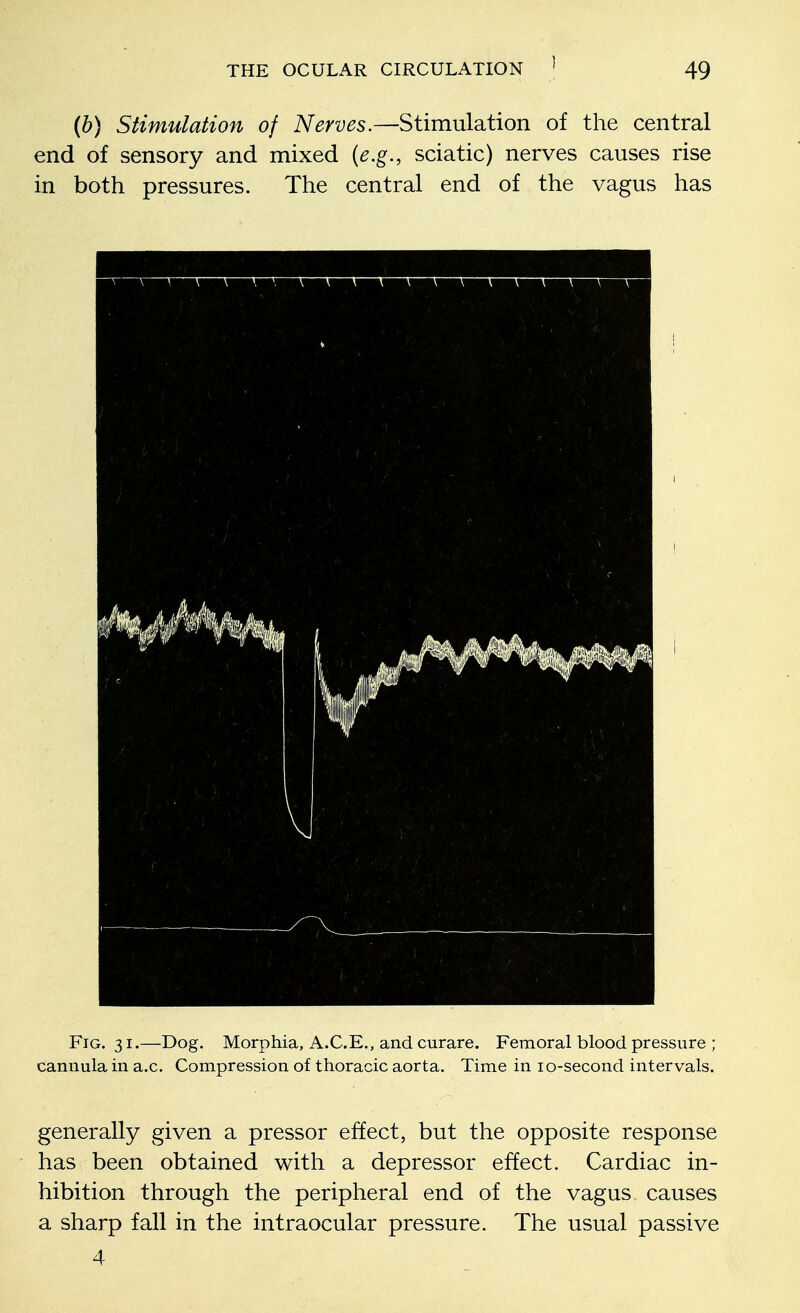 (b) Stimulation of Nerves.—Stimulation of the central end of sensory and mixed (e.g., sciatic) nerves causes rise in both pressures. The central end of the vagus has Fig. 31.—Dog. Morphia, A.C.E., and curare. Femoral blood pressure ; cannula in a.c. Compression of thoracic aorta. Time in 10-second intervals. generally given a pressor effect, but the opposite response has been obtained with a depressor effect. Cardiac in- hibition through the peripheral end of the vagus causes a sharp fall in the intraocular pressure. The usual passive 4