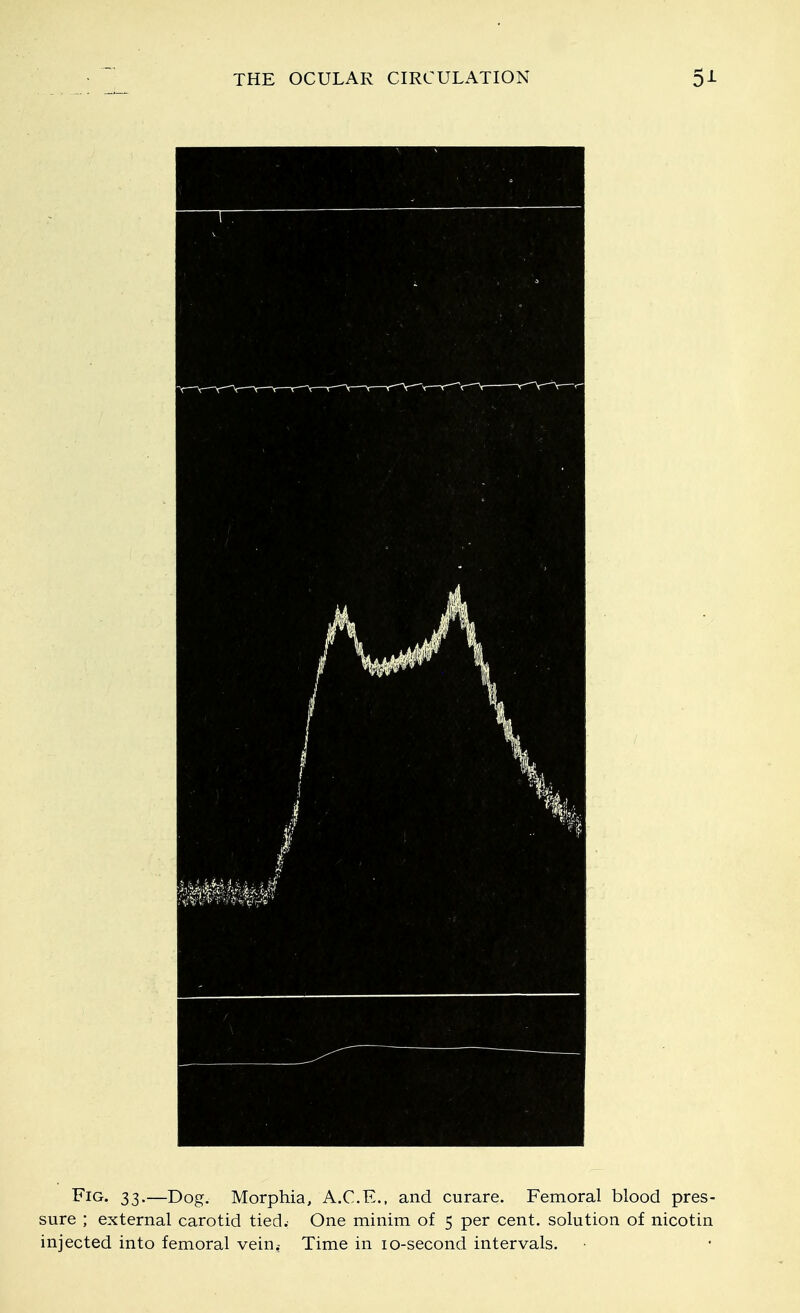 Fig. 33.—Dog. Morphia, A.C.E., and curare. Femoral blood pres- sure ; external carotid tied.; One minim of 5 per cent, solution of nicotin injected into femoral vein.: Time in 10-second intervals.