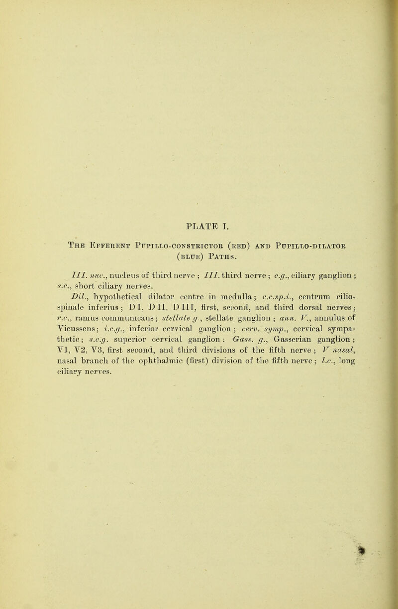 PLATE I. The Efferent Pupillo-constrictor (red) and Pupillo-dilator (blue) Paths. III. nuc, nucleus of third nerve ; III. third nerve ; e.g., ciliary ganglion ; s.c, short ciliary nerves. Dil., hypothetical dilator centre in medulla; c.c.sp.i., centrum cilio- spinale inferius; D I, D II, Dili, first, second, and third dorsal nerves; r.c, ramus communicans; stellate g., stellate ganglion ; ann. V., annulus of Vieussens; i.e.g., inferior cervical ganglion; cerv. sgmp., cervical sympa- thetic; s.c.g. superior cervical ganglion; G-ass. g., Grasserian ganglion; VI, V2, V3, first second, and third divisions of the fifth nerve ; V nasal, nasal branch of the ophthalmic (first) division of the fifth nerve ; I.e., long ciliary nerves.