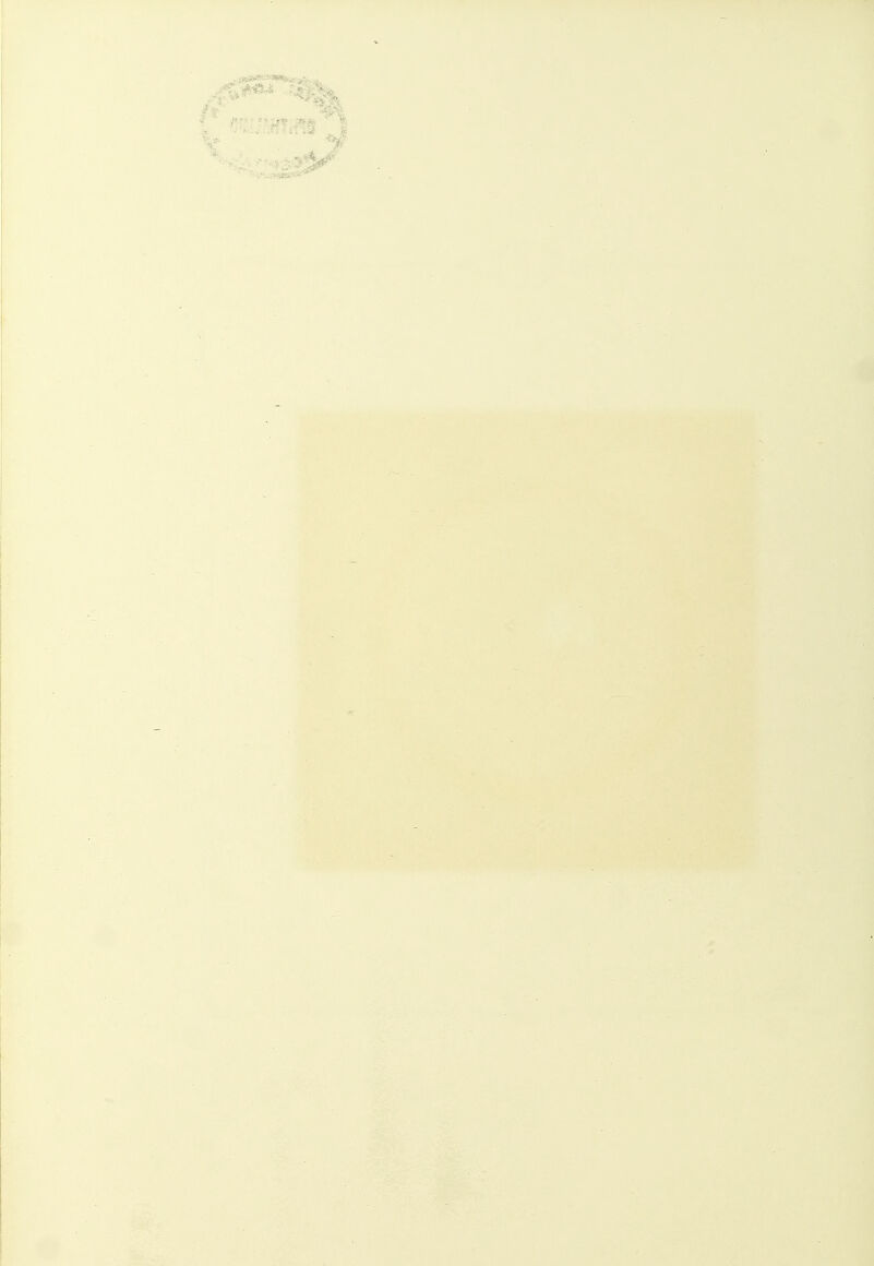 .„,Ä.»-:JvJ»«IOti,,y..