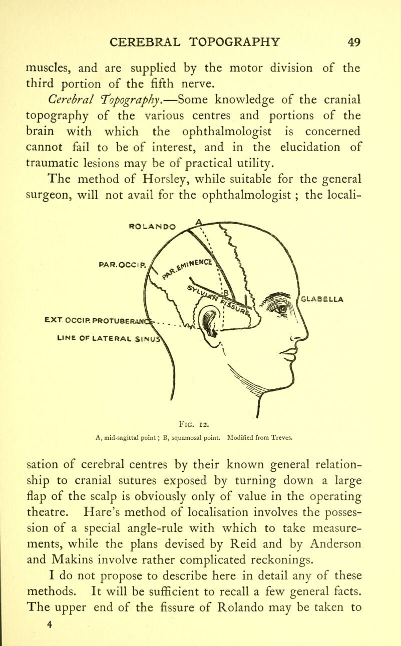 muscles, and are supplied by the motor division of the third portion of the fifth nerve. Cerebral T'opography.—Some knowledge of the cranial topography of the various centres and portions of the brain with which the ophthalmologist is concerned cannot fail to be of interest, and in the elucidation of traumatic lesions may be of practical utility. The method of Horsley, while suitable for the general surgeon, will not avail for the ophthalmologist ; the locali- FlG. 12. A, mid-sagittal point; B, squamosal point. Modified from Treves. sation of cerebral centres by their known general relation- ship to cranial sutures exposed by turning down a large flap of the scalp is obviously only of value in the operating theatre. Hare's method of localisation involves the posses- sion of a special angle-rule with which to take measure- ments, while the plans devised by Reid and by Anderson and Makins involve rather complicated reckonings. I do not propose to describe here in detail any of these methods. It will be sufficient to recall a few general facts. The upper end of the fissure of Rolando may be taken to 4