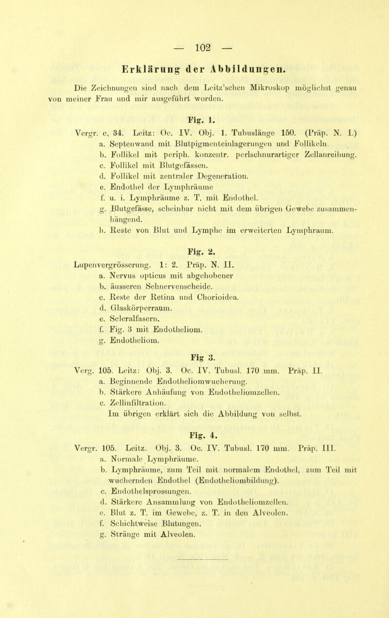 Erklärung der Abbildungen. Die Zeichoungen sind nach dem Leitz'sclien Mikroskop möglichst genau von meiner Frau und mir ausgeführt worden. Fig. 1. Vergr. c. 34. Lcitz: Oc. IV. Obj. 1. Tubuslänge 150. (Präp. N. I.) a. Septenwand mit Blutpigmenteinlagerungcn und Follikehi. b. FolUkel mit periph. konzentr. perlschnurartiger Zellanreihung. c. Follikel mit Blutgefässen. d. Follikel mit zentraler Degeneration. e. Endothel der Lymphräume f. u. i. Lymphräume z. T. mit Endothel. g. Blutgefässe, scheinbar nicht mit dem übrigen Gewebe zusammen- liängcnd. h. Reste von Blut und Lymphe im erweiterten Lymphraum. Fig. 2. Lupenvergrösserung. 1: 2. Präp. N. II. a. Nervus opticus mit abgehobener b. äusseren Sehnervenscheide. c. Reste der Retina und Chorioidea. d. Glaskörperraum. e. Scleralfasern. f. Fig. 3 mit Endothcliom. g. Endothcliom. Fig 3. Verg. 105. Leitz: Obj. 3. Oc. IV. Tubusl. 170 mm. Präp. IL a. Beginnende Endotheliomwuchorung. b. Stärkere Anhäufung von Endotheliomzellen. c. Zellinfiltration. Im übrigen erklärt sich die Abbildung von selbst. Fig. 4. Vergr. 105. Leitz. Obj. 3. Oc. IV. Tubusl. 170 mm. Präp. III. a. Normale Lymphräume. b. Lymphräume, zum Teil mit normalem Endothel, zum Teil mit wuchernden Endothel (Endotheliombildung). c. Endothelsprossungen. d. Stärkere Ansammlung von End(.)theliomzellen. e. Blut z. T. im Gewebe, z. T. in den Alveolen. f. Schichtweise Blutungen. g. Stränge mit Alveolen.