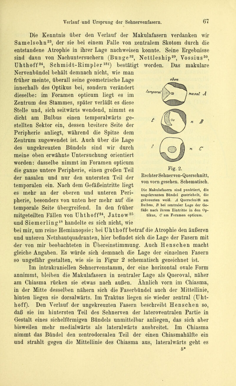 Die Kenntnis über den Verlauf der Makulafasern verdanken wir Samelsohn23, der sie bei einem Falle von zentralem Skotom durch die entstandene Atrophie in ihrer Lage nachweisen konnte. Seine Ergebnisse sind dann von Nachuntersuchern (Bunge32, Nettleship29, Vossius30, Uhthoff24, Schmidt-Rimpler181) bestätigt worden. Das makulare Nervenbündel behält demnach nicht, wie man früher meinte, überall seine geometrische Lage innerhalb des Optikus bei, sondern verändert dieselbe: im Foramen opticum liegt es im Zentrum des Stammes, später verläßt es diese Stelle und, sich seitwärts wendend, nimmt es dicht am Bulbus einen temporalwärts ge- stellten Sektor ein, dessen breitere Seite der Peripherie anliegt, während die Spitze dem Zentrum zugewendet ist. Auch über die Lage des ungekreuzten Bündels sind wir durch meine oben erwähnte Untersuchung orientiert worden: dasselbe nimmt im Foramen opticum die ganze untere Peripherie, einen großen Teil der nasalen und nur den untersten Teil der temporalen ein. Nach dem Gefäßeintritte liegt es mehr an der oberen und unteren Peri- pherie, besonders von unten her mehr auf die temporale Seite übergreifend. In den früher mitgeteilten Fällen von Uhthoff24, Jatzow25 und Siemerling18 handelte es sich nicht, wie bei mir, um reine Hemianopsie; bei Uhthoff betraf die Atrophie den äußeren und unteren Netzhautquadranten, hier befindet sich die Lage der Fasern mit -der von mir beobachteten in Übereinstimmung. Auch Henschen macht gleiche Angaben. Es würde sich demnach die Lage der einzelnen Fasern so ungefähr gestalten, wie sie in Figur 2 schematisch gezeichnet ist. Im intrakraniellen Sehnervenstamm, der eine horizontal ovale Form annimmt, bleiben die Makulafasern in zentraler Lage als Queroval, näher am Chiasma rücken sie etwas nach außen. Ähnlich vorn im Chiasma, in der Mitte desselben nähern sich die Faserbündel auch der Mittellinie, hinten liegen sie dorsalwärts. Im Traktus liegen sie wieder zentral (Uht- hoff). Den Verlauf der ungekreuzten Fasern beschreibt Henschen so, daß sie im hintersten Teil des Sehnerven der lateroventralen Partie in Gestalt eines sichelförmigen Bündels unmittelbar anliegen, das sich aber bisweilen mehr medialwärts als lateralwärts ausbreitet. Im Chiasma nimmt das Bündel den zentrodorsalen Teil der einen Chiasmahälfte ein und strahlt gegen die Mittellinie des Chiasma aus, lateralwärts geht es 5* Fig. 2. Eechter Sehnerven-Querschnitt, von vorn gesehen. Schematisch. Die Makulafasern sind punktiert, die ungekreuzten Bündel gestrichelt, die gekreuzten weiß. A Querschnitt am Bulbus, B hei zentraler Lage der Ge- fäße nach ihrem Eintritte in den Op- tikus, C am Foramen opticum.