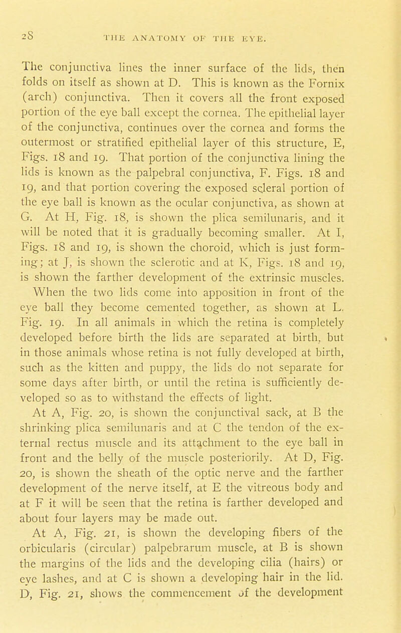 The conjunctiva lines the inner surface of the lids, then folds on itself as shown at D. This is known as the Fornix (arch) conjunctiva. Then it covers all the front exposed portion of the eye ball except the cornea. The epithelial layer of the conjunctiva, continues over the cornea and forms the outermost or stratified epithelial layer of this structure, E, Figs. i8 and 19. That portion of the conjunctiva lining the lids is known as the palpebral conjunctiva, F. Figs. 18 and 19, and that portion covering the exposed scleral portion of the eye ball is known as the ocular conjunctiva, as shown at G. At H, Fig. 18, is shown the plica semilunaris, and it will be noted that it is gradually becoming smaller. At I, Figs. 18 and 19, is shown the choroid, which is just form- ing; at J, is shown the sclerotic and at K, Figs. 18 and 19, is shown the farther development of the extrinsic muscles. When the two lids come into apposition in front of the eye ball they become cemented together, as shown at L. Fig. 19. In all animals in which the retina is completely developed before birth the lids are separated at birth, but in those animals whose retina is not fully developed at birth, such as the kitten and puppy, the lids do not separate for some days after birth, or until the retina is sufficiently de- veloped so as to withstand the effects of light. At A, Fig. 20, is shown the conjunctival sack, at B the shrinking plica semilunaris and at C the tendon of the ex- ternal rectus muscle and its attachment to the eye ball in front and the belly of the muscle posteriority. At D, Fig. 20, is shown the sheath of the optic nerve and the farther development of the nerve itself, at E the vitreous body and at F it will be seen that the retina is farther developed and about four layers may be made out. At A, Fig. 21, is shown the developing fibers of the orbicularis (circular) palpebrarum muscle, at B is shown the margins of the lids and the developing cilia (hairs) or eye lashes, and at C is shown a developing hair in the lid. D, Fig. 21, shows the commencement of the development