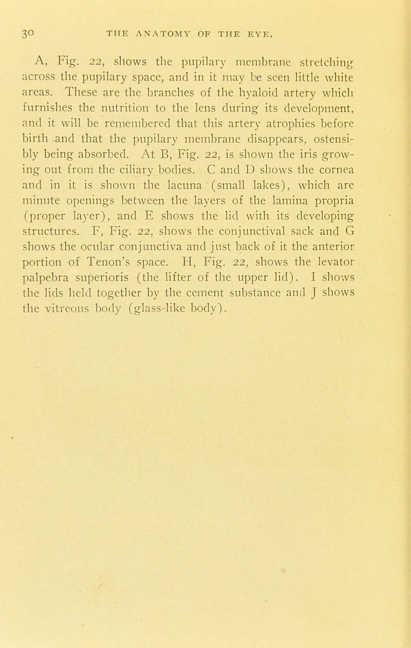 A, Fig. 22, shows the pupilary membrane strclchinj; across the pupilary space, and in it may be seen little white areas. These are the branches of the hyaloid artery whicli furnishes the nutrition to the lens during its development, and it will be remembered that this artery atrophies before birth -and that the pupilary membrane disappears, ostensi; bly being absorbed. At B, Fig. 22, is shown the iris grow- ing out from the ciliary bodies. C and D shows the cornea and in it is shown the lacuna (small lakes), which are minute openings between the layers of the lamina propria (proper layer), and E shows the lid with its developing structures. F, Fig. 22, shows the conjunctival sack and G shows the ocular conjunctiva and just back of it the anterior portion of Tenon's space. H, Fig. 22, shows the levator palpebra superioris (the lifter of the upper lid). I shows the lids held together by the cement substance and J shows the vitreous body (glass-like body).