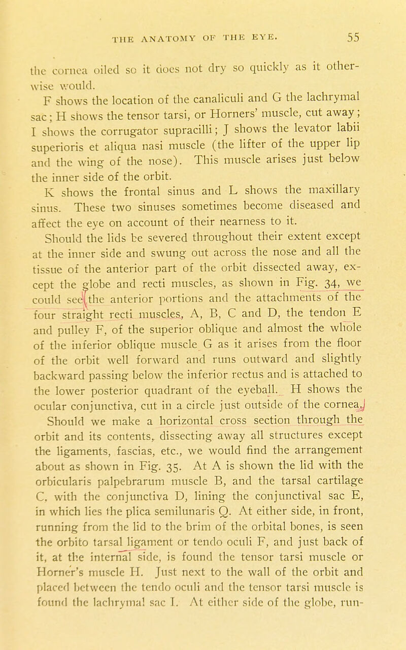 the conica oiled so it does not dry so quickly as it other- wise would. F shows the location of the canaliculi and G the lachrymal sac; H shows the tensor tarsi, or Horners' muscle, cut away ; I shows the corrugator supracilli; J shows the levator labii superioris et aliqua nasi muscle (the lifter of the upper lip and the wing of the nose). This muscle arises just below the inner side of the orbit. K shows the frontal sinus and L shows the maxillary sinus. These two sinuses sometimes become diseased and affect the eye on account of their nearness to it. Should the lids be severed throughout their extent except at the inner side and swung out across the nose and all the tissue of the anterior part of the orbit dissected away, ex- cept the ^lobe and recti muscles, as shown in Fig. 34.jvve_ could see^the anterior portions and the attachments of the four straight recti muscles. A, B, C and D, the tendon E and pulley F, of the superior oblique and almost the whole of the inferior oblique muscle G as it arises from the floor of the orbit w^ell forward and runs outward and slightly backward passing below the inferior rectus and is attached to the lower posterior quadrant of the eyeball. H shows the ocular conjunctiva, cut in a circle just outside of the corneaj Should we make a horizontal cross section through the orbit and its contents, dissecting away all structures except the ligaments, fascias, etc., we would find the arrangement about as shown in Fig. 35. At A is shown the hd with the orbicularis palpebrarum muscle B, and the tarsal cartilage C. with the conjunctiva D, hning the conjunctival sac E, in which lies the plica semilunaris Q. At either side, in front, running from the lid to the brim of the orbital bones, is seen the orbito tarsal ligament or tendo oculi F, and just back of it, at the internal side, is found the tensor tarsi muscle or Horner's muscle H. Just next to the wall of the orbit and placed between the tendo oculi and the tensor tarsi muscle is found the lachrymal sac T. At either side of the globe, run-