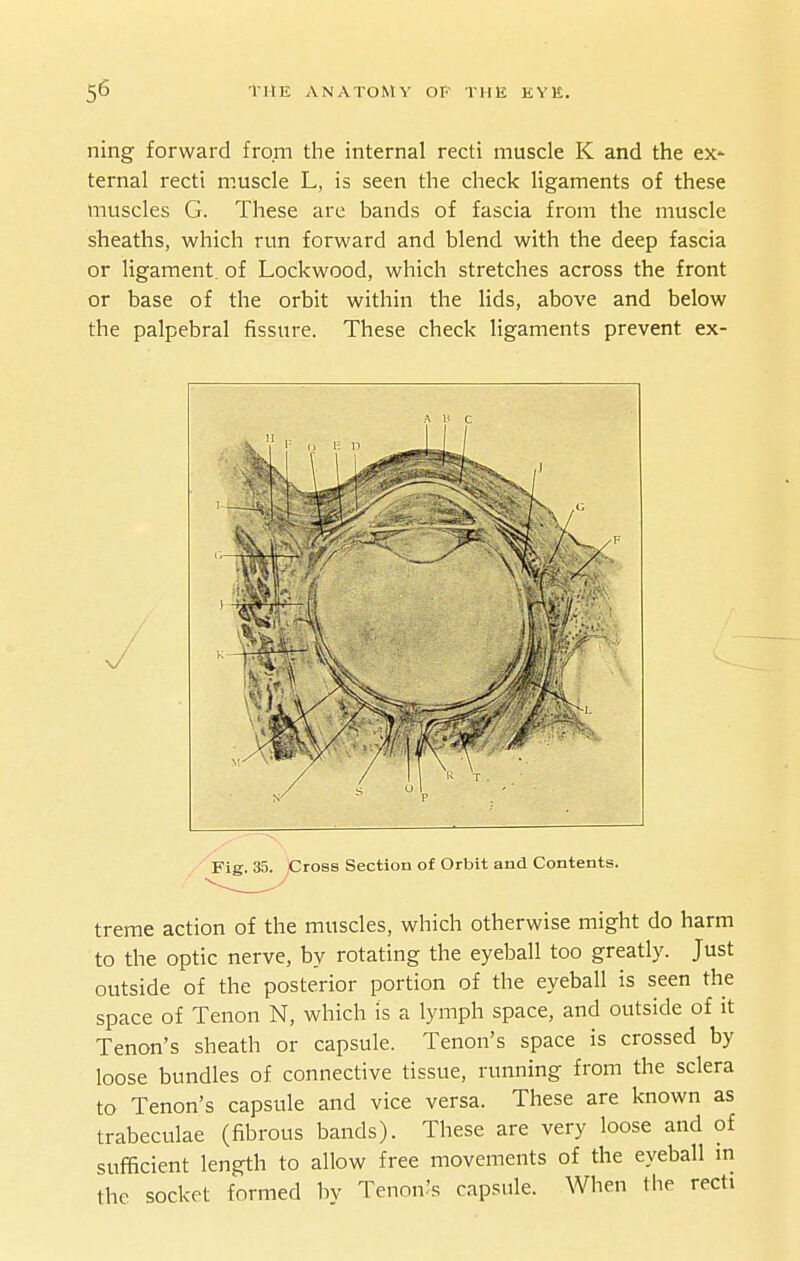 ning forward from the internal recti muscle K and the ex- ternal recti muscle L, is seen the check ligaments of these muscles G. These are bands of fascia from the muscle sheaths, which run forward and blend with the deep fascia or ligament, of Lockwood, which stretches across the front or base of the orbit within the lids, above and below the palpebral fissure. These check ligaments prevent ex- treme action of the muscles, which otherwise might do harm to the optic nerve, by rotating the eyeball too greatly. Just outside of the posterior portion of the eyeball is seen the space of Tenon N, which is a lymph space, and outside of it Tenon's sheath or capsule. Tenon's space is crossed by loose bundles of connective tissue, running from the sclera to Tenon's capsule and vice versa. These are known as trabeculae (fibrous bands). These are very loose and of sufficient length to allow free movements of the eyeball m the socket formed bv Tenon^s capsule. When the recti H C Fig. 35. ,Cross Section of Orbit and Contents.