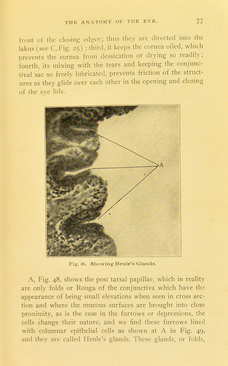 liuiit ul the closing edges; lluis tlicy arc directed into the lakus (see C,Fig. 25) ; thiril. it keeps the cornea oiled, which prevents the cornea from dessication or drying so readily; fourth, its mixing with the tears and keeping the conjunc- tival sac so freely lubricated, prevents friction of the struct- ures as they glide over each other in the opening and closing of the eye lids. •A Fig. 49. Showing Henle's Glands. A, Fig. 48, shows the post tarsal papillae, which in reality are only folds or Rouga of the conjunctiva which have the appearance of being small elevations when seen in cross sec- tion and where the mucous surfaces are brought into close proximity, as is the case in the furrows or depressions, the cells change their nature, and we find these furrows lined with columnar epithelial cells as shown at A in Fig. 49, and they arc called Ilcnlc's glands. These glands, or folds,