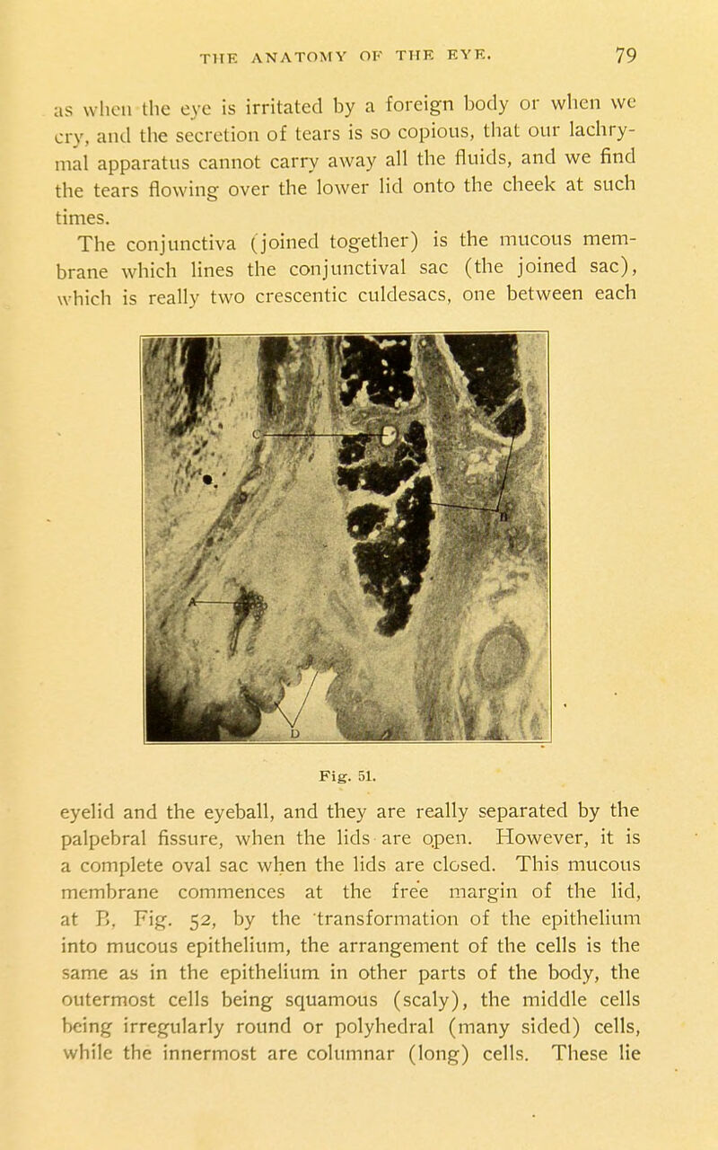 as wlicn the eye is irritated by a foreign body or when we cry, and the secretion of tears is so copious, that our lachry- mal apparatus cannot carry away all the fluids, and we find the tears flowing over the lower lid onto the cheek at such times. The conjunctiva (joined together) is the mucous mem- brane which lines the conjunctival sac (the joined sac), which is really two crescentic culdesacs, one between each Fig. 51. eyelid and the eyeball, and they are really separated by the palpebral fissure, when the lids are open. However, it is a complete oval sac when the lids are closed. This mucous membrane commences at the free margin of the lid, at R, Fig. 52, by the transformation of the epithehum into mucous epithelium, the arrangement of the cells is the same as in the epithelium in other parts of the body, the outermost cells being squamous (scaly), the middle cells being irregularly round or polyhedral (many sided) cells, while the innermost are columnar (long) cells. These lie