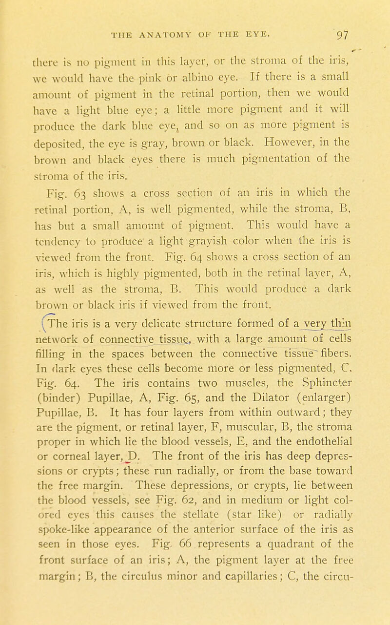 there is no pigment in this kiyer, or the stroma of the iris, we would have the pinl^: or albino eye. If there is a small amount of pigment in the retinal portion, then we would have a light blue eye; a little more pigment and it will produce the dark blue eye, and so on as more pigment is deposited, the eye is gray, brown or black. However, in the brown and black eyes there is much pigmentation of the stroma of the iris. Fig. 63 shows a cross section of an iris in which the retinal portion, A, is well pigmented, while the stroma, B, has but a small amount of pigment. This would have a tendency to produce' a light grayish color when the iris is viewed from the front. Fig. 64 shows a cross section of an iris, which is highly pigmented, both in the retinal layer, A, as well as the stroma, B. This would produce a dark brown or black iris if viewed from the front. [The iris is a very delicate structure formed of ajvery thin network of connective tissiie^ with a large amount of cells filling in the spaces between the connective tissue^ fibers. In dark eyes these cells become more or less pigmented, C, Fig. 64. The iris contains two muscles, the Sphincter (binder) Pupillae, A, Fig. 65, and the Dilator (enlarger) Pupillae, B. It has four layers from within outward; they are the pigment, or retinal layer, F, muscular, B, the stroma proper in which He the blood vessels, E, and the endothelial or corneal layer, J3. The front of the iris has deep depres- sions or crypts; these run radially, or from the base toward the free margin. These depressions, or crypts, lie between the blood vessels, see Fig. 62, and in medium or light col- ored eyes this causes the stellate (star like) or radially spoke-like appearance of the anterior surface of the iris as seen in those eyes. Fig. 66 represents a quadrant of the front surface of an iris; A, the pigment layer at the free margin; B, the circulus minor and capillaries; C, the circu-