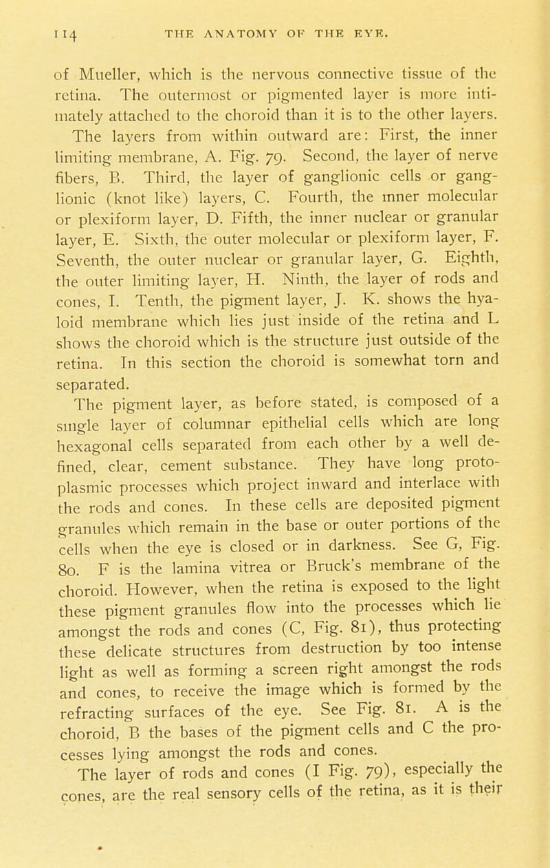 of Mueller, which is the nervous connective tissue of the retina. The outermost or pigmented layer is more inti- mately attached to the choroid than it is to the other layers. The layers from within outward are: First, the inner limiting membrane, A. Fig. 79. Second, the layer of nerve fibers, B. Third, the layer of ganglionic cells or gang- lionic (knot like) layers, C. Fourth, the mner molecular or plexiform layer, D. Fifth, the inner nuclear or granular layer, E. Sixth, the outer molecular or plexiform layer, F. Seventh, the outer nuclear or granular layer, G. Eighth, the outer limiting layer, H. Ninth, the layer of rods and cones, 1. Tenth, the pigment layer, J. K. shows the hya- loid membrane which lies just inside of the retina and L shows the choroid which is the structure just outside of the retina. In this section the choroid is somewhat torn and separated. The pigment layer, as before stated, is composed of a suigle layer of columnar epithelial cells which are long hexagonal cells separated from each other by a well de- fined, clear, cement substance. They have long proto- plasmic processes which project Inward and interlace with the rods and cones. In these cells are deposited pigment granules which remain in the base or outer portions of the cells when the eye is closed or In darkness. See G, Fig. 80. F Is the lamina vltrea or Brack's membrane of the choroid. However, when the retina Is exposed to the light these pigment granules flow into the processes which lie amongst the rods and cones (C, Fig. 81), thus protecting these delicate structures from destruction by too intense light as well as forming a screen right amongst the rods and cones, to receive the Image which is formed by the refracting surfaces of the eye. See Fig. 81. A is the choroid, B the bases of the pigment cells and C the pro- cesses lying amongst the rods and cones. The layer of rods and cones (I Fig. 79), especially the cones, are the real sensory cells of the retina, as it Is their