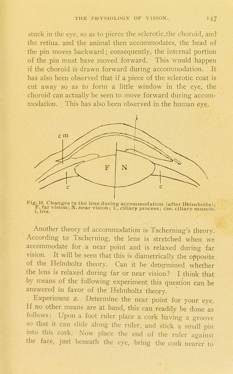 Stuck in the eye. so as to pierce the sclerotic,the choroid, and- the retina, and the animal then accommodates, the head of the pin moves backward; consequently, the internal portion of the pin must have moved forward. This wotild happen if the choroid is drawn forward during accommodation. It has also been observed that if a piece of the sclerotic coat is cut away so as to form a little window in the eye, the choroid can actually be seen to move forward during accom- modation. This has also been observed in the human eye. Changes in the lens during accommodation (after Helmholtz); •.laj'vision; N, near vision J C, ciliary process; cm, ciliary muscle. Another theory of accommodation is Tscherning's theory. According to Tscherning, the lens is stretched when we accommodate for a near point and is relaxed during far vision. It will be seen that this is diametrically the opposite of the Helmholtz theory. Can it be determined whether the lens is relaxed during far or near vision ? I think that by means of the following experiment this question can be answered in favor of the Helmholtz theory. Experiment 2. Determine the near point for your eye. If no other means are at hand, this can readily be done as follows: Upon a foot ruler place a cork having a groove •so that it can slide along the ruler, and stick a small pin into this cork. Now place the end of the ruler against the face, just beneath the eye, bring the cork nearer to