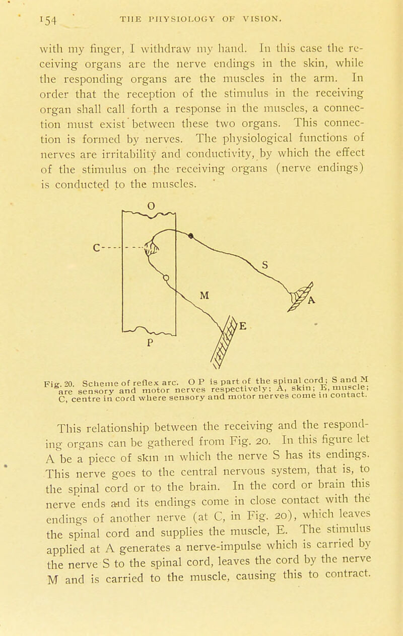 with my finger, I withdraw iny hand. In this case tlic re- ceiving organs are the nerve endings in the skin, while the responding organs are the muscles in the arm. In order that the reception of the stimulus in the receiving organ shall call forth a response in the muscles, a connec- tion must exist 'between these two organs. This connec- tion is formed by nerves. The physiological functions of nerves are irritability and conductivity, by which the effect of the stimulus on the receiving organs (nerve endings) is conducted to the muscles. Fig. 20. Scheme of refle.K arc. O P is part of the spinal cord ; S and M are sensory and motor nerves respectively; A, skin; E, muscle, C, centre in cord where sensory and motor nerves come m contact. This relationship between the receiving and the respond- ing organs can be gathered from Fig. 20. In this figure let A be a piece of skin in which the nerve S has its endings. This nerve goes to the central nervous system, that is, to the spinal cord or to the brain. In the cord or brain this nerve'ends a-nd its endings come in close contact with the endings of another nerve (at C, in Fig. 20), which leaves the spinal cord and supplies the muscle, E. The stimulus applied at A generates a nerve-impulse which is carried by the nerve S to the spinal cord, leaves the cord by the nerve M and is carried to the muscle, causing this to contract.