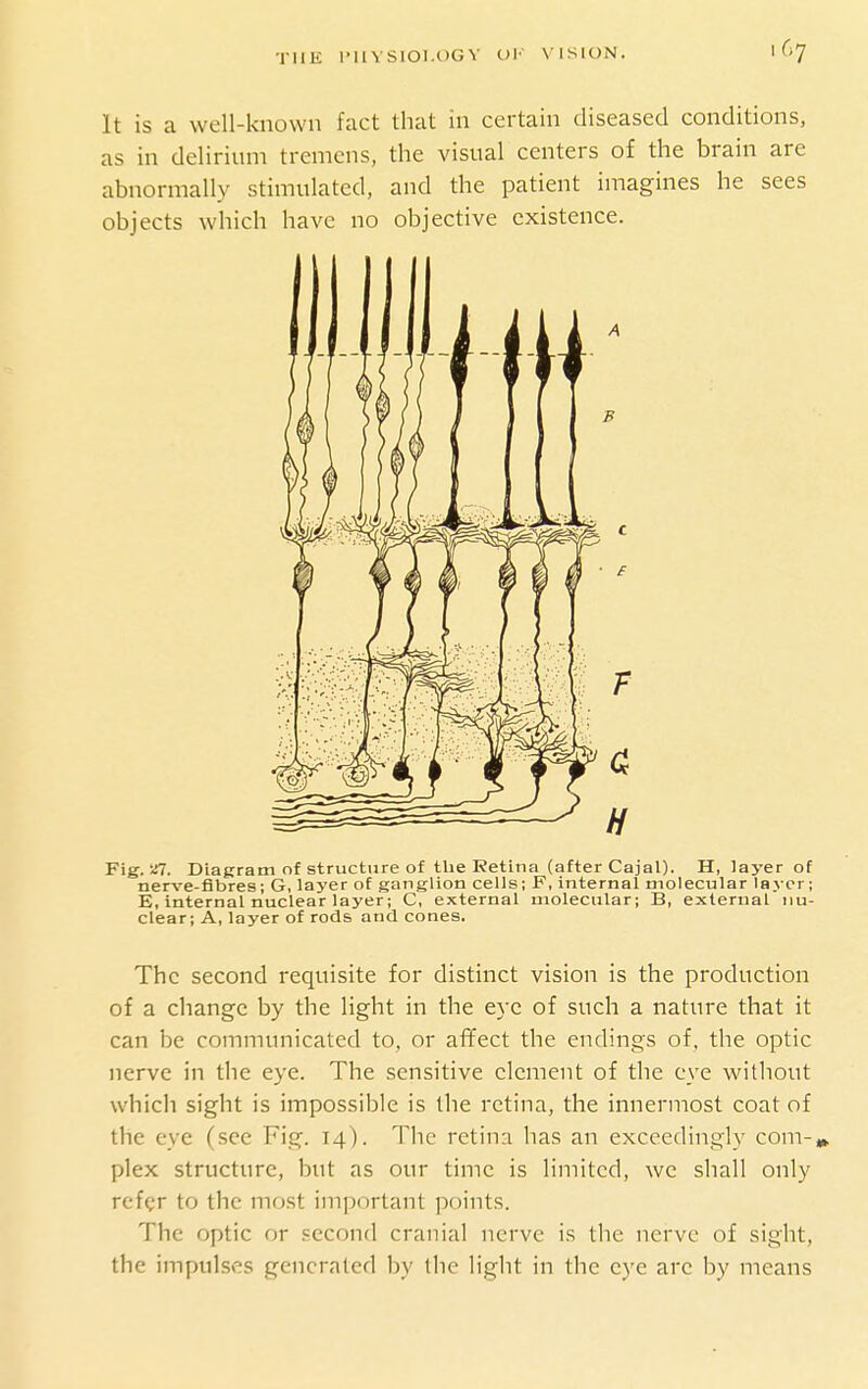 It is a well-known fact that in certain diseased conditions, as in delirium tremens, the visual centers of the brain are abnormally stimulated, and the patient imagines he sees objects which have no objective existence. Fig. 27. Diagram of structure of the Retina (after Cajal). H, layer of nerve-fibres; G, layer of ganglion cells; F, internal molecular layer; E, internal nuclear layer; C, external molecular; B, external nu- clear; A, layer of rods and cones. The second requisite for distinct vision is the production of a change by the light in the eye of such a nature that it can be communicated to, or affect the endings of, the optic nerve in the eye. The sensitive element of the eye without which sight is impossible is the retina, the innermost coat of the eye (see Fig. 14). The retina has an exceedingly com-,» plex structure, but as our time is limited, we shall only rcfgr to the most important ]:>()ints. The optic or second cranial nerve is the nerve of sight, the impulses generated by the light in the eye arc by means