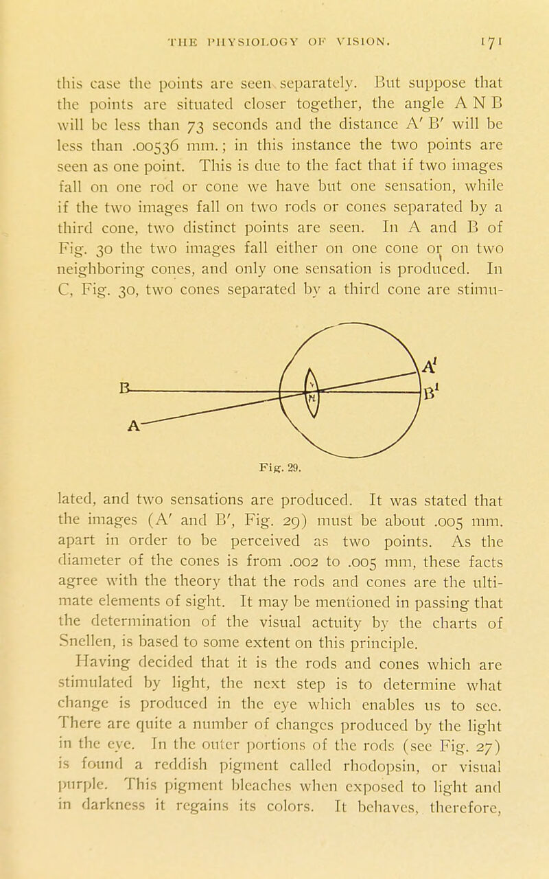 this case the points are seen,separately. But suppose that the points are situated closer together, the angle A N B will be less than 73 seconds and the distance A' B' will be less than .00536 mm.; in this instance the two points are seen as one point. This is due to the fact that if two images fall on one rod or cone we have but one sensation, while if the two images fall on two rods or cones separated by a third cone, two distinct points are seen. In A and B of Fig. 30 the two images fall either on one cone or on two neighboring cones, and only one sensation is produced. In C, Fig. 30, two cones separated by a third cone are stimu- Fig. 29. lated, and two sensations are produced. It was stated that the images (A' and B', Fig. 29) must be about .005 mm. apart in order to be perceived as two points. As the diameter of the cones is from .002 to .005 mm, these facts agree with the theory that the rods and cones are the ulti- mate elements of sight. It may be mentioned in passing that the determination of the visual actuity by the charts of Snellen, is based to some extent on this principle. Having decided that it is the rods and cones which are stimulated by light, the next step is to determine what change is produced in the eye which enables us to sec. There are quite a number of changes produced by the light in the eye. In the outer jiortions of the rods (sec Fig. 27) is found a reddish pigment called rhodopsin, or visual purple. This pigment bleaches when exposed to light and in darkness it regains its colors. It behaves, therefore,