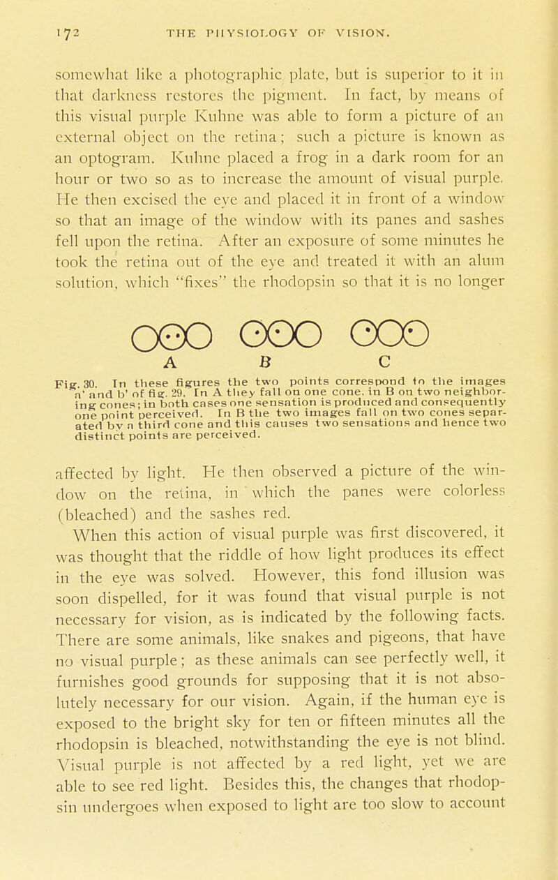 somewhat like a photographic plate, but is superior to it in that darkness restores the pigment. In faet, Ijy means of this visual purple Kuhne was able to form a picture of an external object on the retina; such a picture is known as an optogram. Kuhne placed a frog in a dark room for an hour or two so as to increase the amount of visual purple. He then excised the eye and placed it in front of a window so that an image of the window with its panes and sashes fell upon the retina. After an exposure of some minutes he took the retina out of the eye and treated it with an alum solution, which fixes the rhodopsin so that it is no longer oeo 000 000 A B C Fie 30 Tn these figures the two points correspond to the images a' aad b' of fig. 29. In A they fall on one cone, in B on two neighbor- ing cones; in both cases one sensation is produced and consequently one point perceived. In B the two images tall on two cones separ- ated by a third cone and this causes two sensations and hence two distinct points are perceived. af¥ected by light. He then observed a picture of the win- dow on the retina, in which the panes were colorless (bleached) and the sashes red. When this action of visual purple was first discovered, it was thought that the riddle of how light produces its effect in the eye was solved. However, this fond illusion was soon dispelled, for it was found that visual purple is not necessary for vision, as is indicated by the following facts. There are some animals, like snakes and pigeons, that have no visual purple; as these animals can see perfectly well, it furnishes good grounds for supposing that it is not abso- lutely necessary for our vision. Again, if the human eye is exposed to the bright sky for ten or fifteen minutes all the rhodopsin is bleached, notwithstanding the eye is not blind. Visual purple is not affected by a red light, yet we are able to see red light. Besides this, the changes that rhodop- sin undergoes when exposed to light are too slow to account