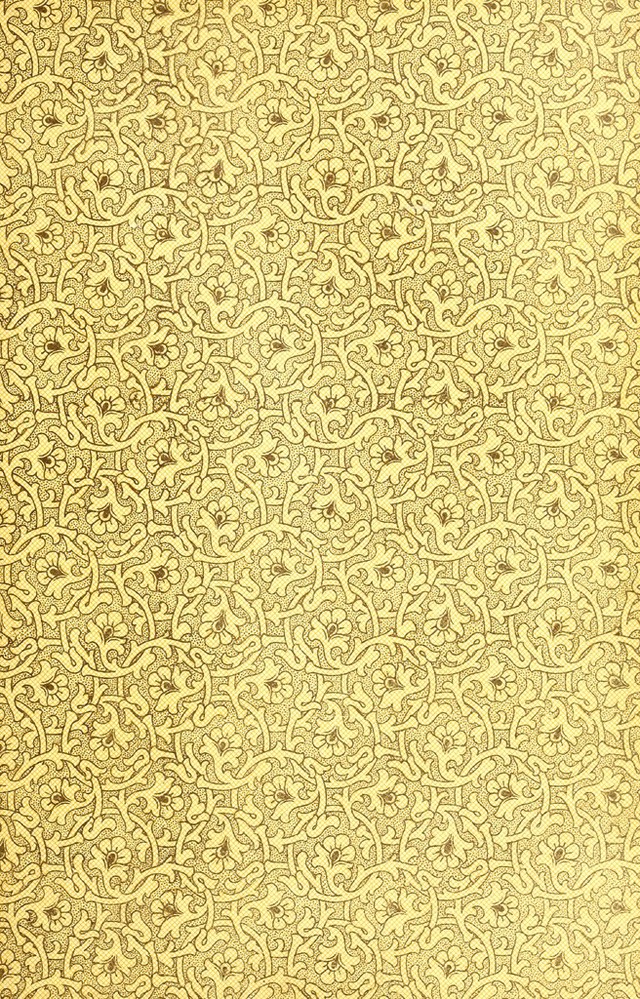 digitised image 3